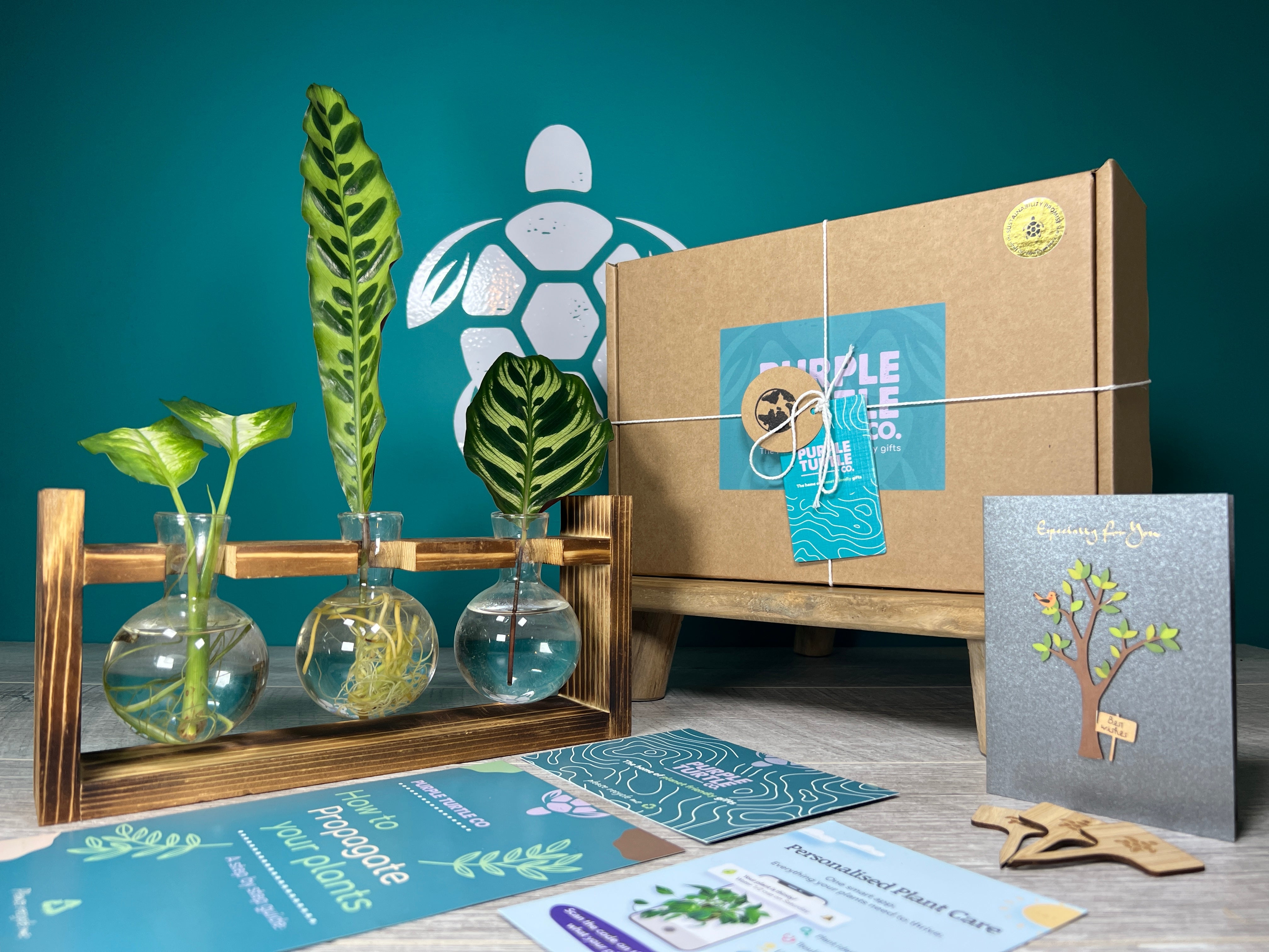 Plant Propagation Gift Set 5 - REGN