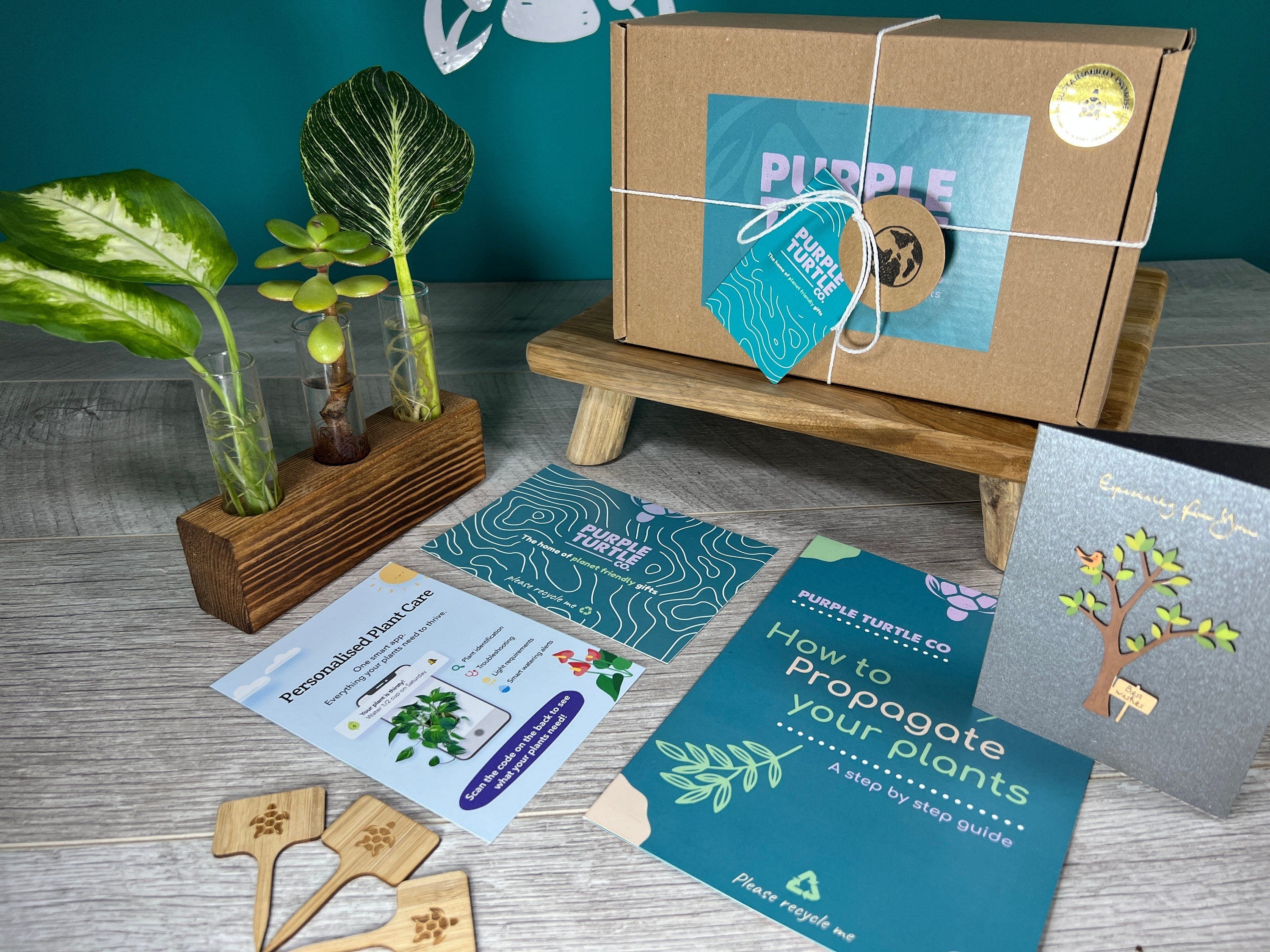 Plant Propagation Gift Set 6 - REGN