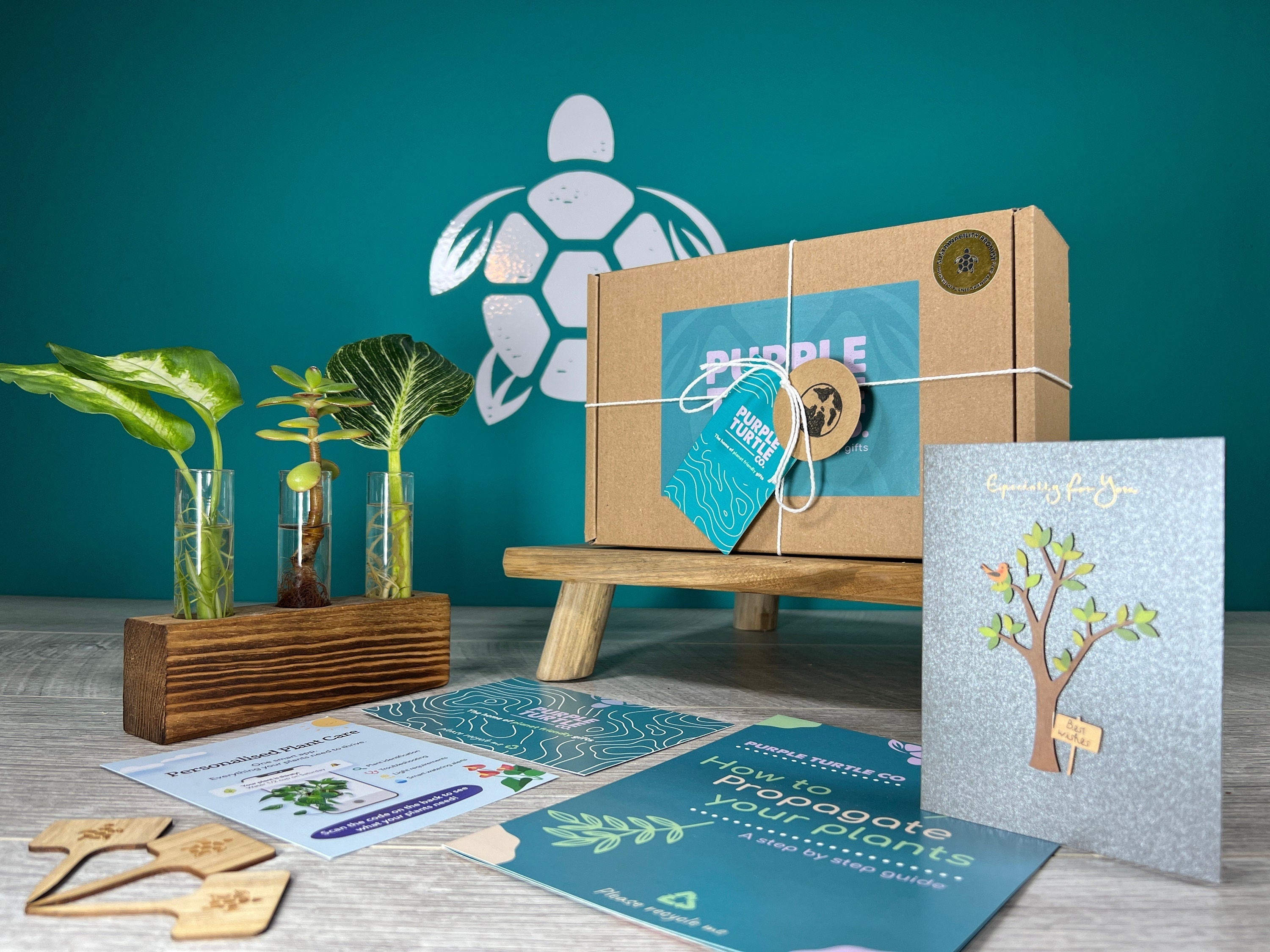 Plant Propagation Gift Set 6 - REGN
