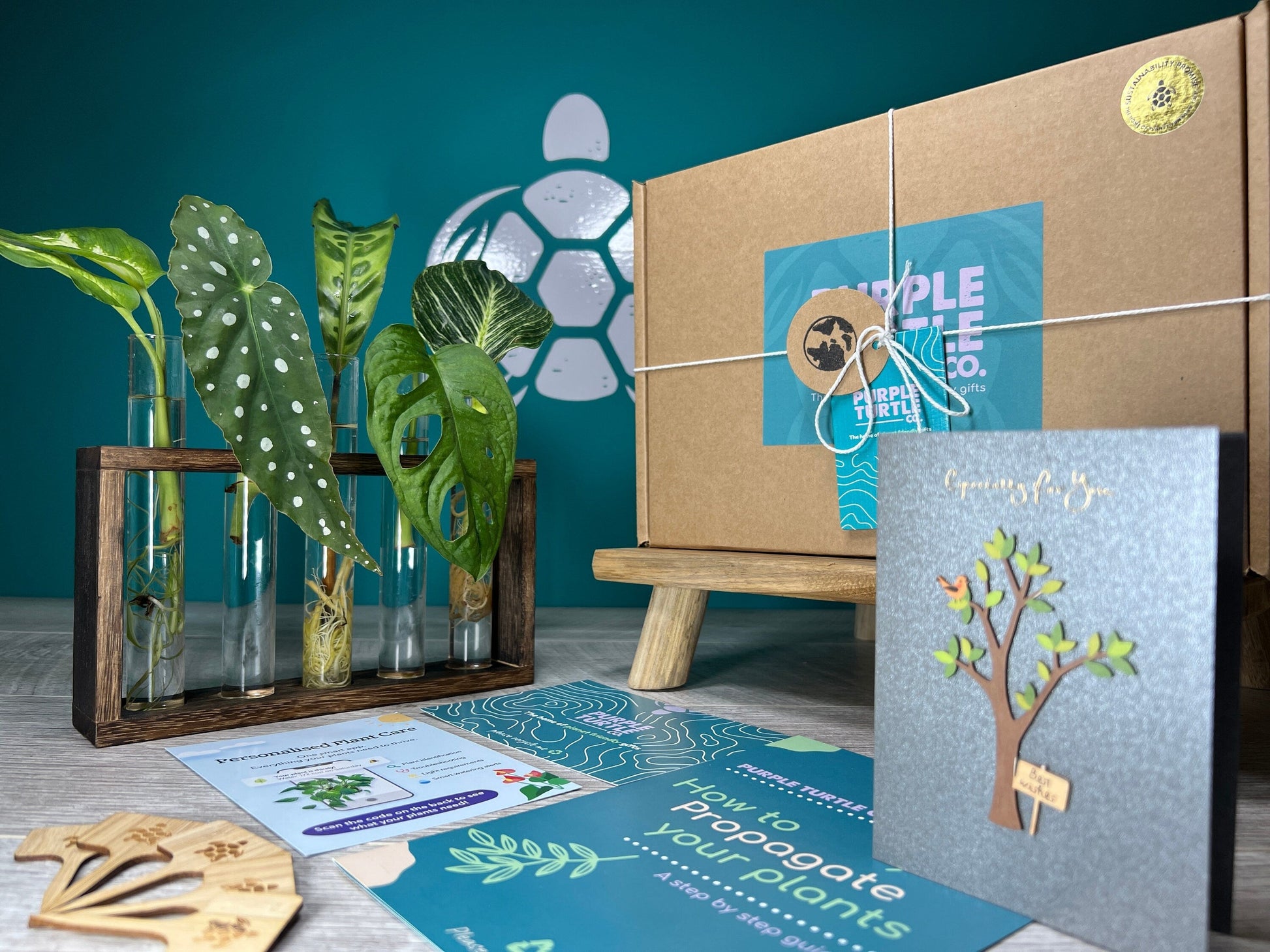 Plant Propagation Gift Set 7 - REGN