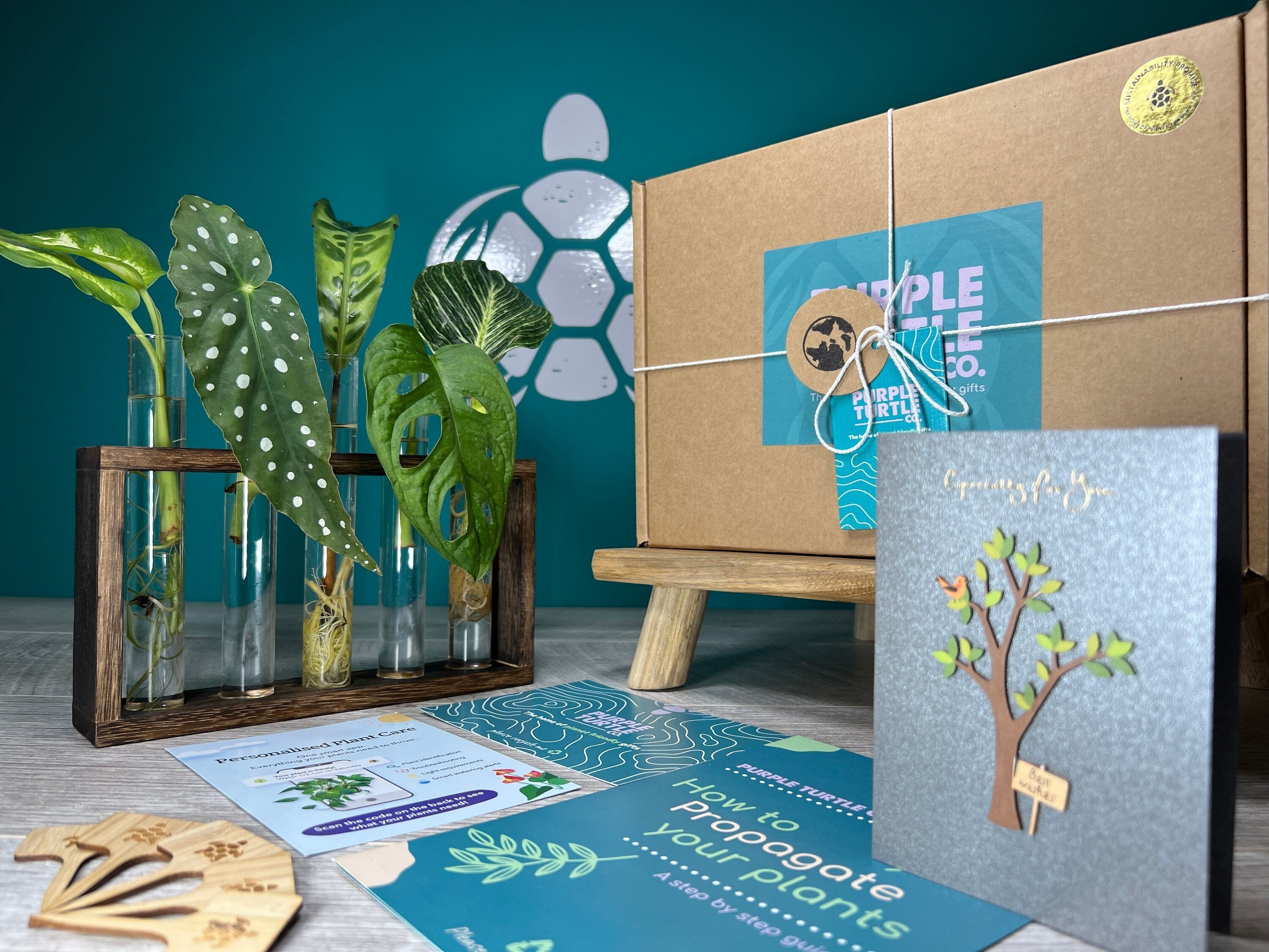 Plant Propagation Gift Set 7 - REGN