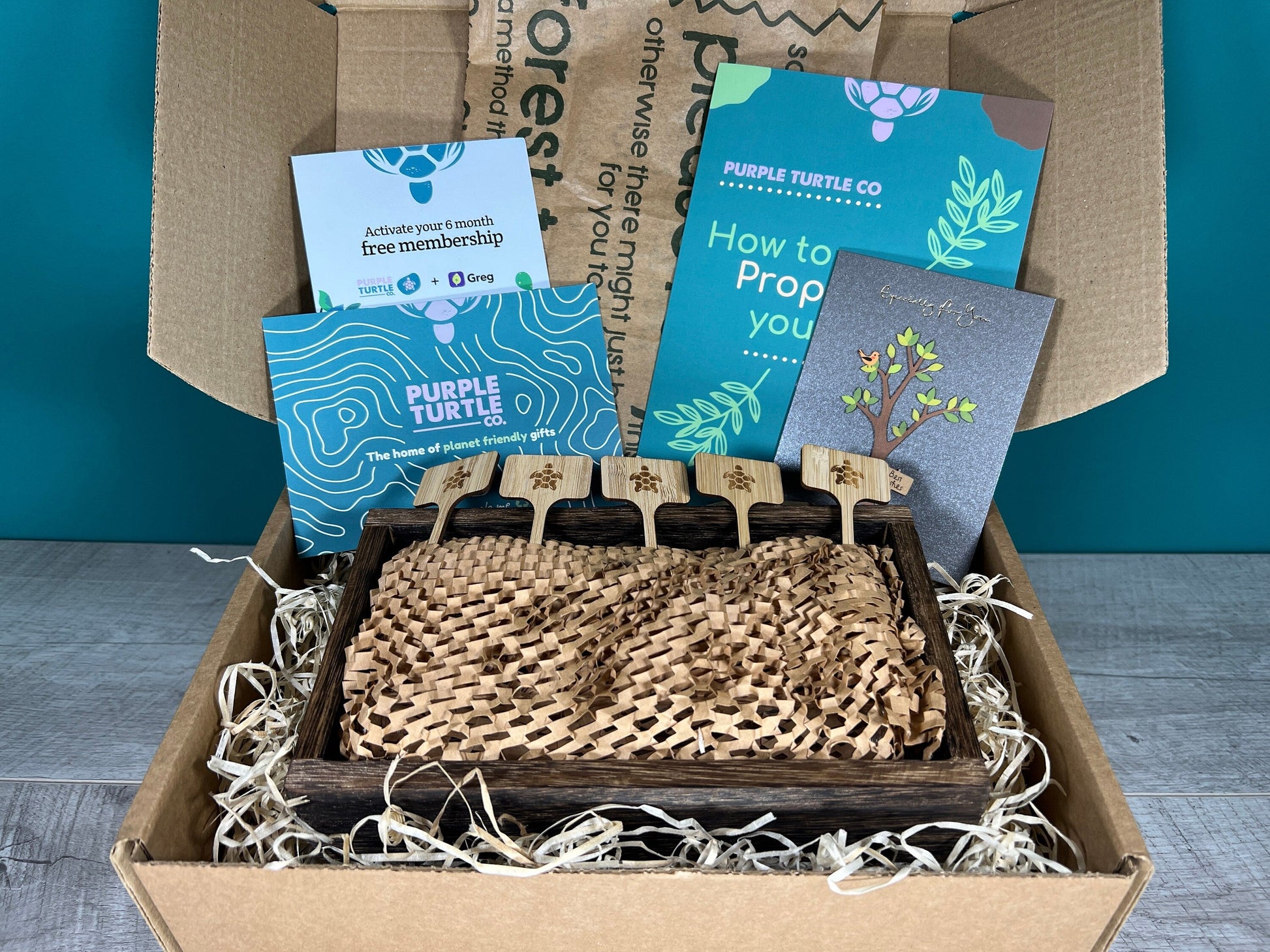 Plant Propagation Gift Set 7 - REGN