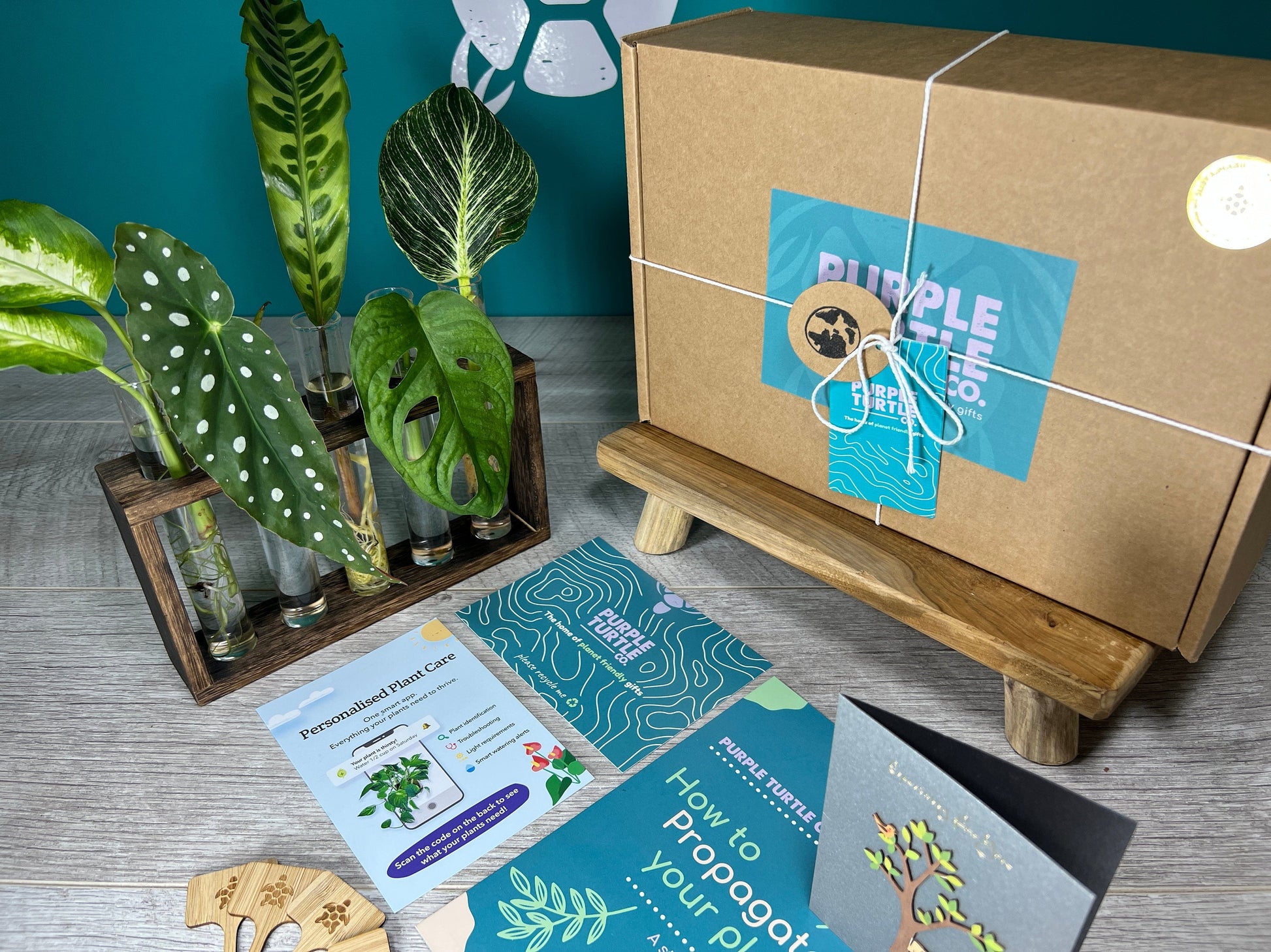 Plant Propagation Gift Set 7 - REGN