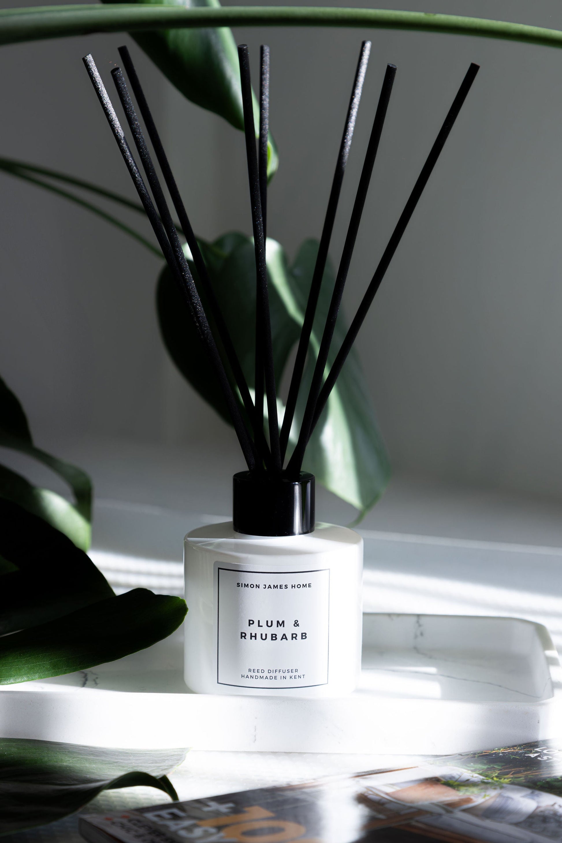 Plum & Rhubarb Reed Diffuser - REGN