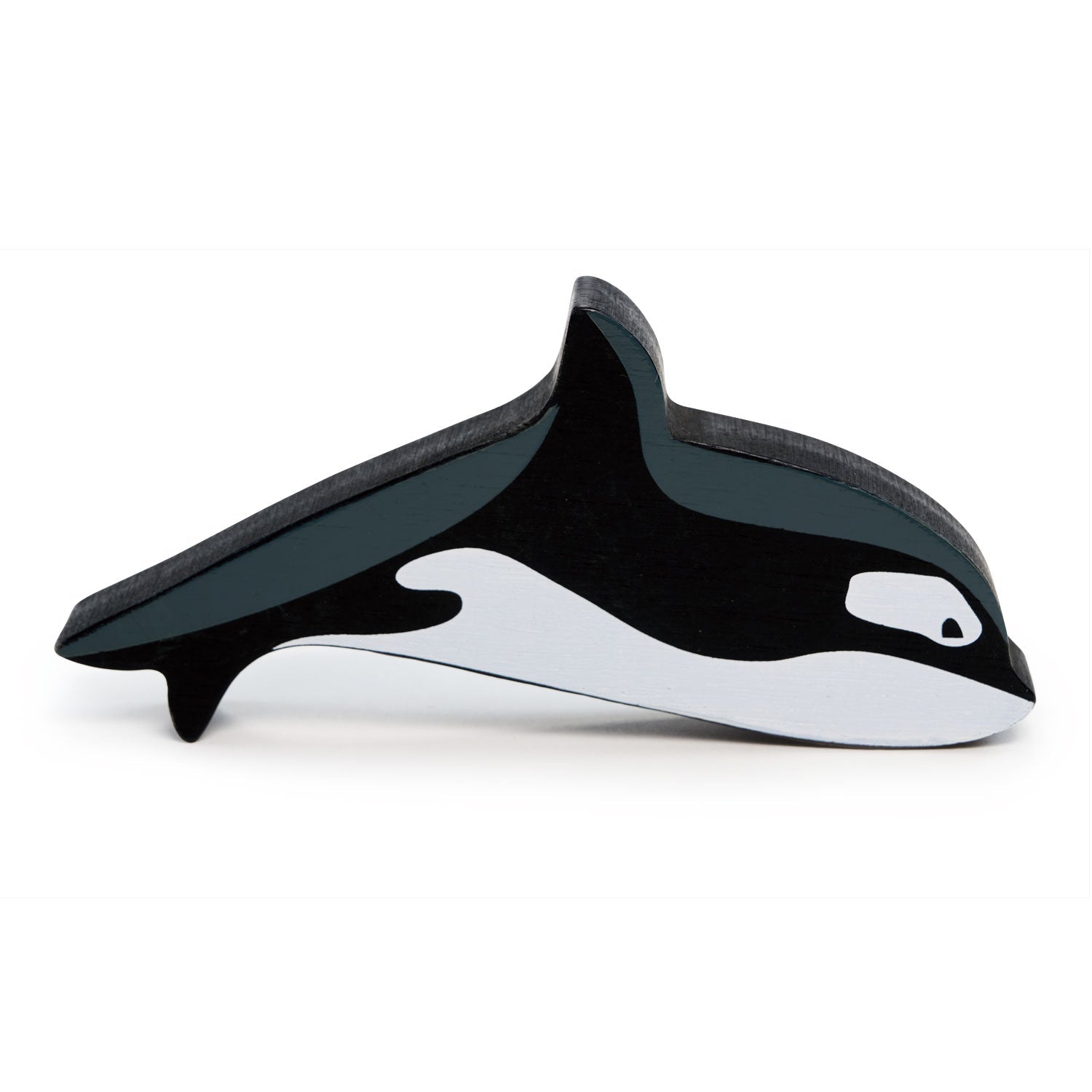 Polar Animal - Orca - REGN