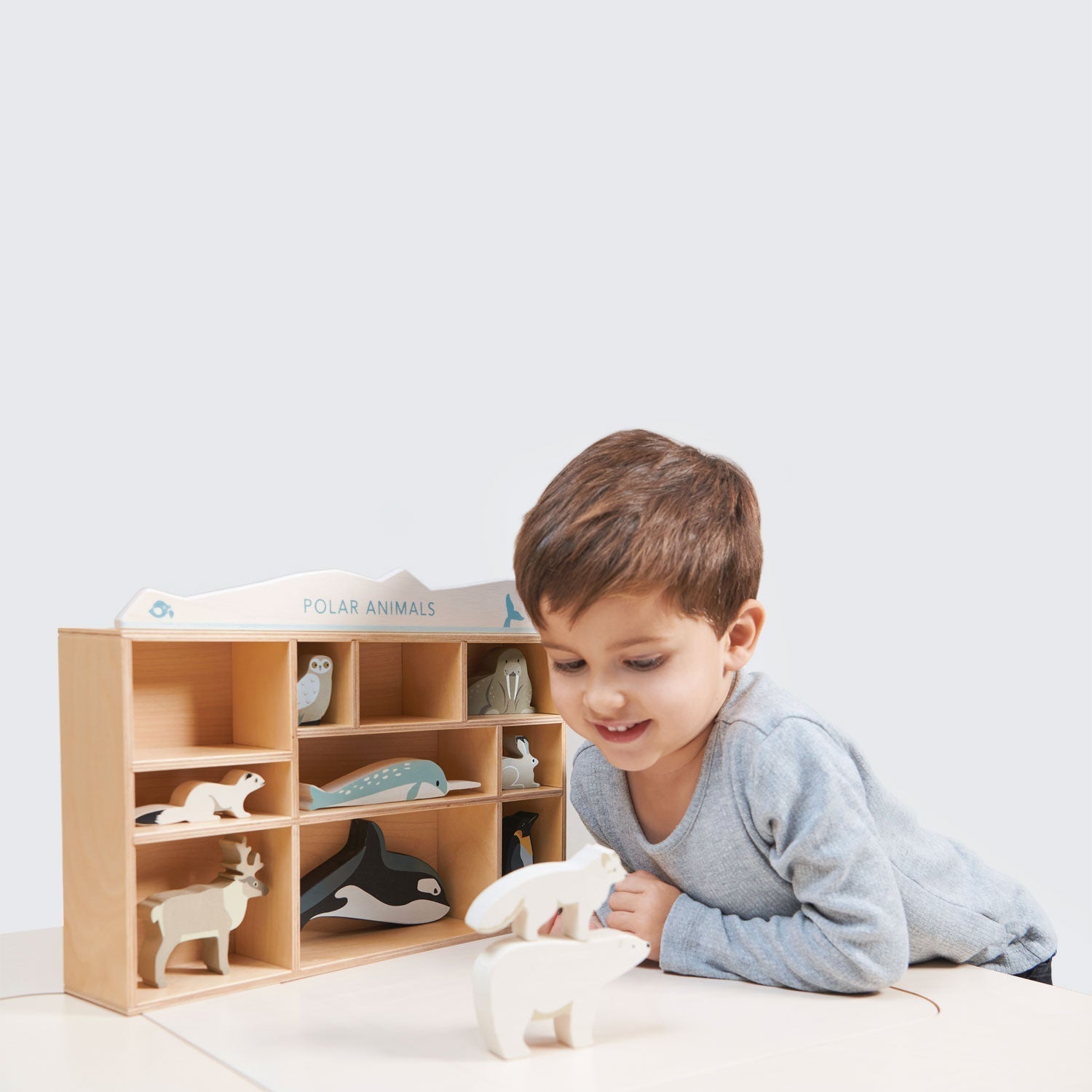 Polar Animals Shelf Set - REGN
