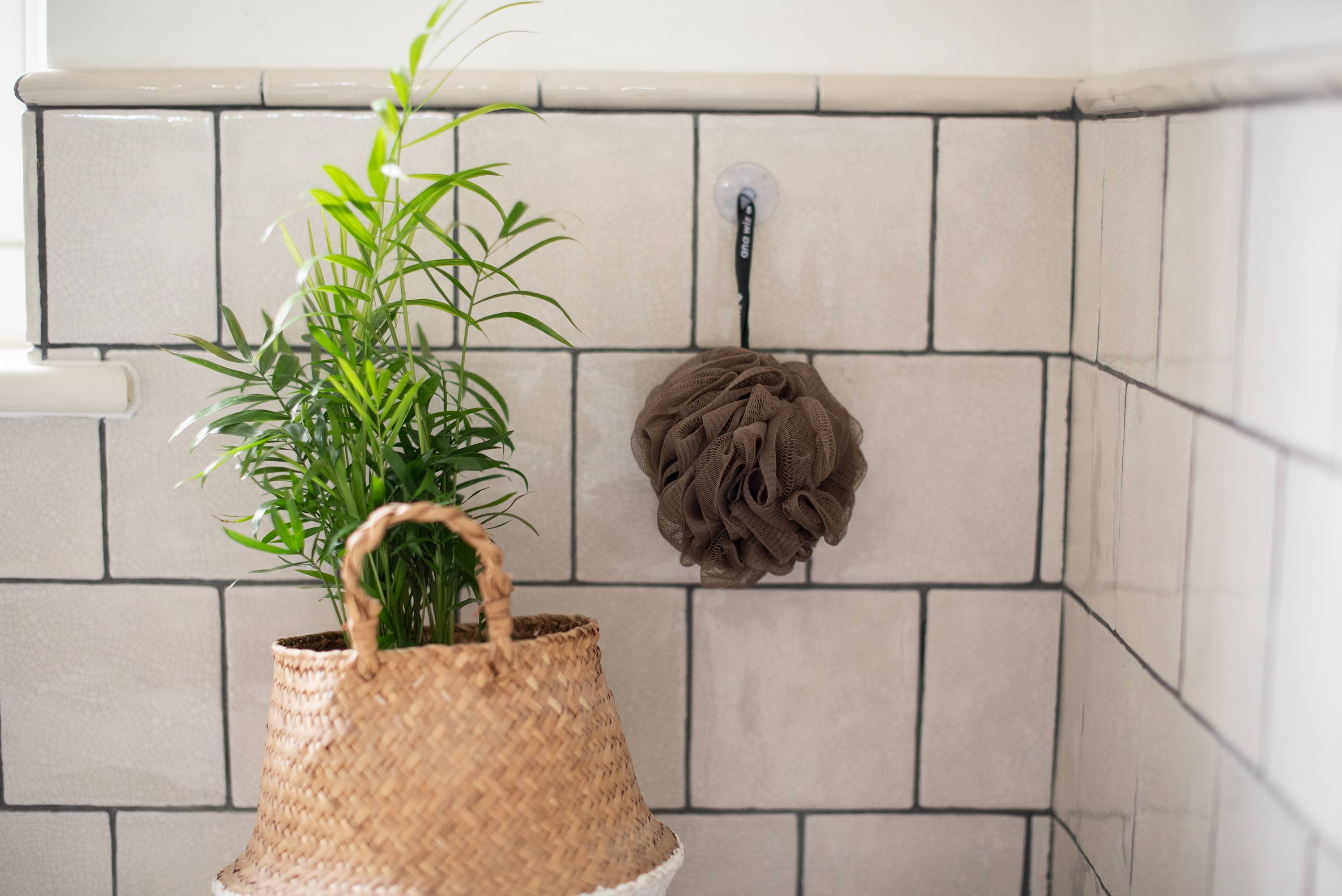 Premium Recycled Bath Puffs – Pack of 4 Eco - Friendly Shower Sponges - REGN