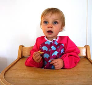 Premium Soft Long Sleeve Water Resistant Washable Bib – Pink Elephant Design - REGN