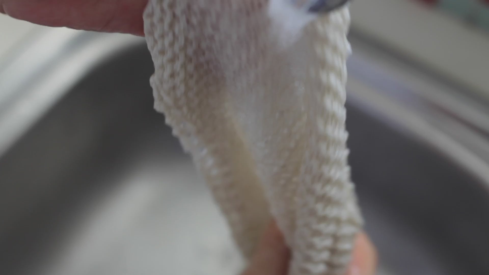 Load video: Re:gn 100% Organic Reusable Dish Cloths