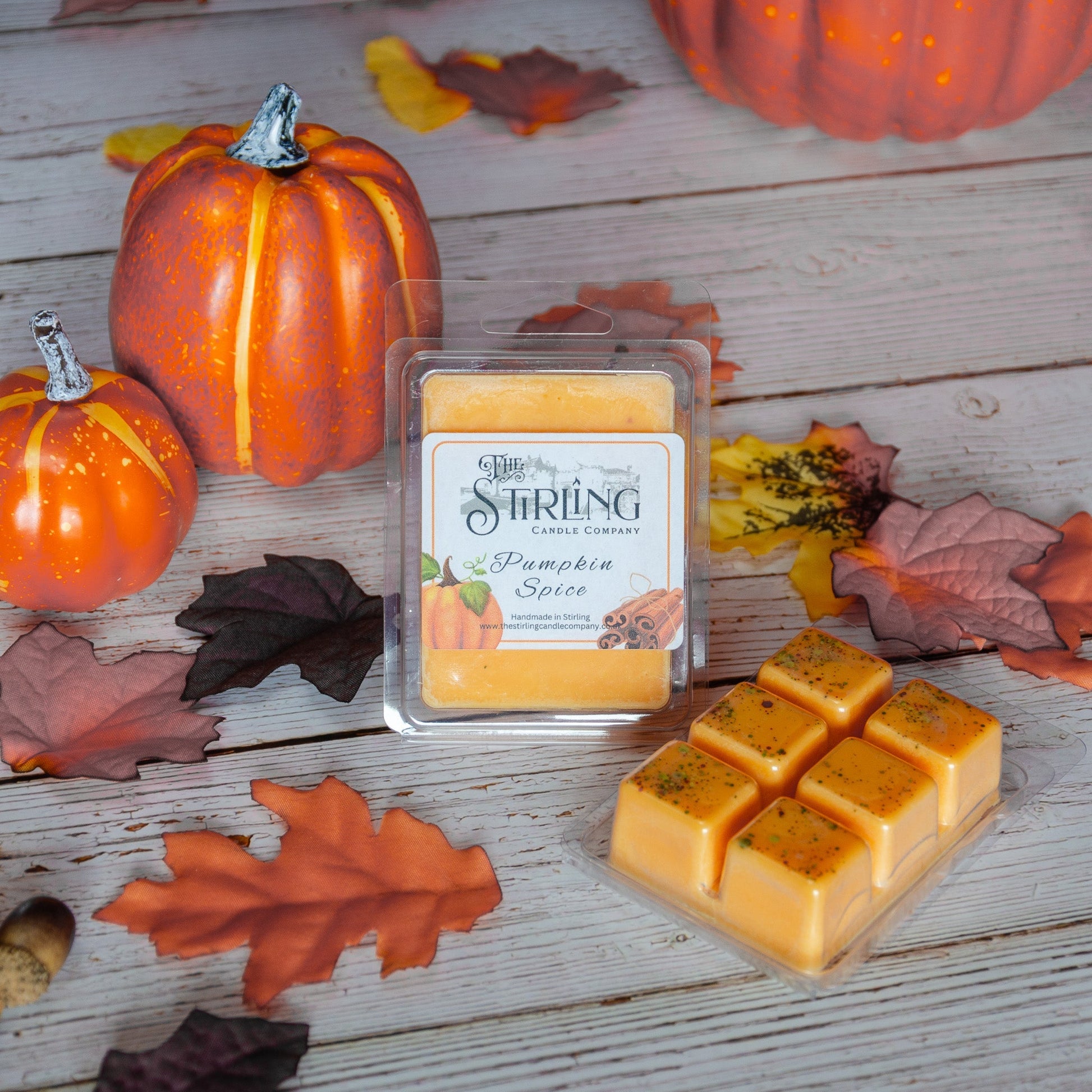 Pumpkin Spice - Wax Melt Clamshell - REGN