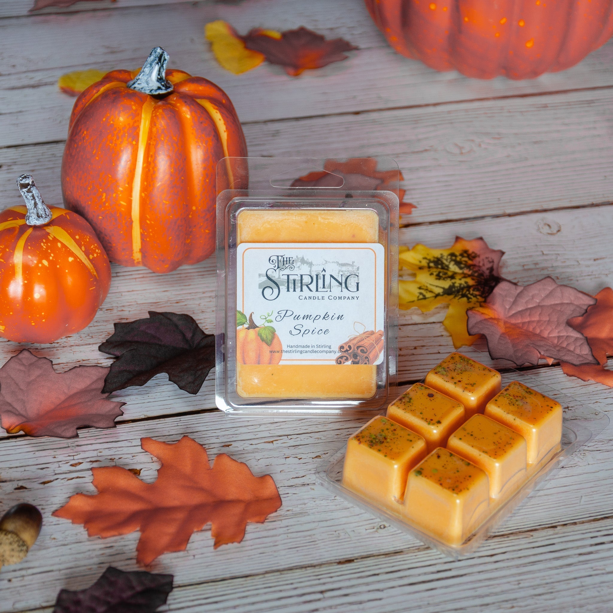Pumpkin Spice - Wax Melt Clamshell - REGN