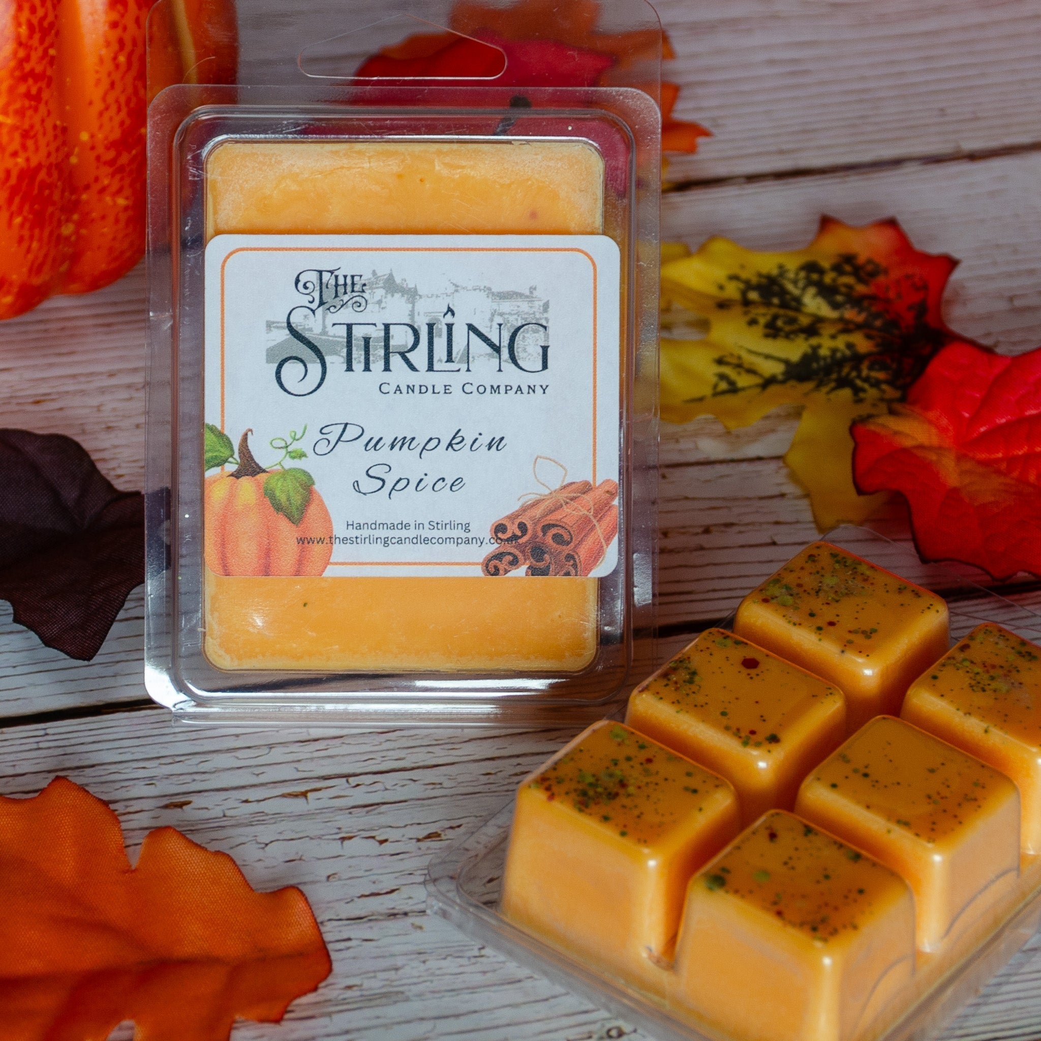 Pumpkin Spice - Wax Melt Clamshell - REGN