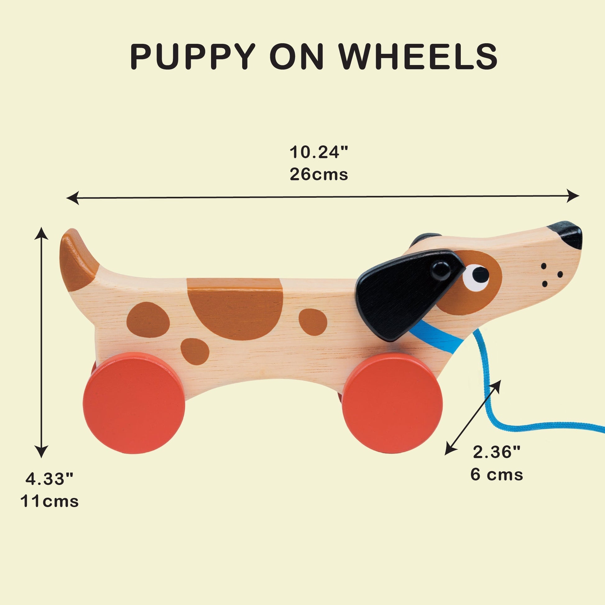 Puppy On Wheels - REGN