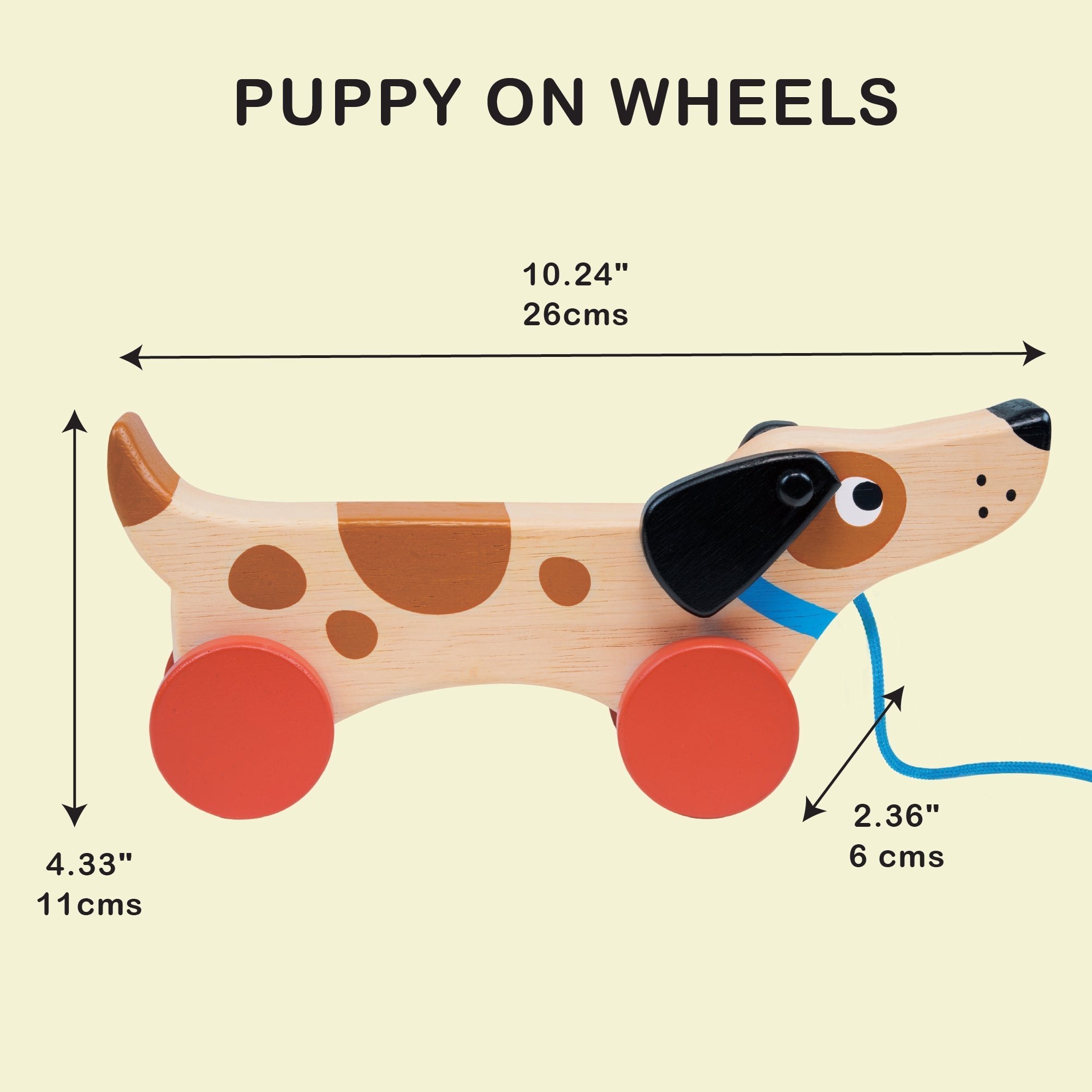 Puppy On Wheels - REGN