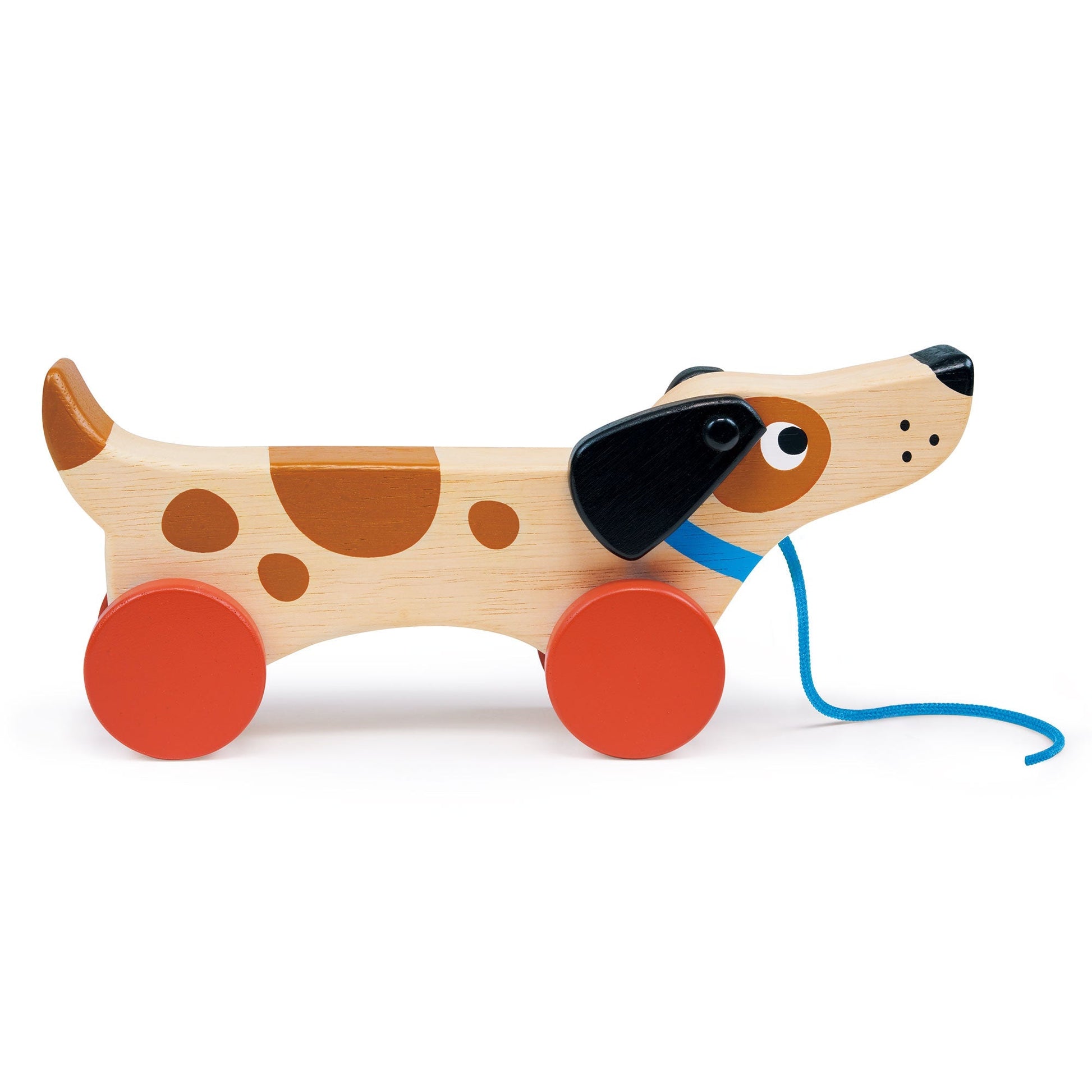 Puppy On Wheels - REGN