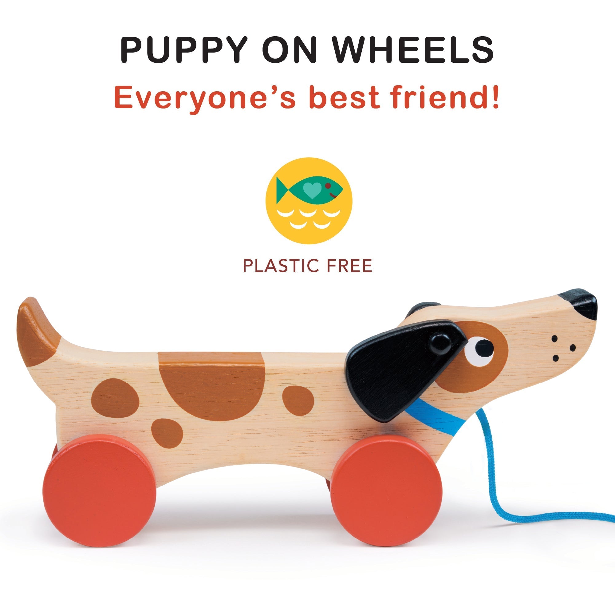 Puppy On Wheels - REGN