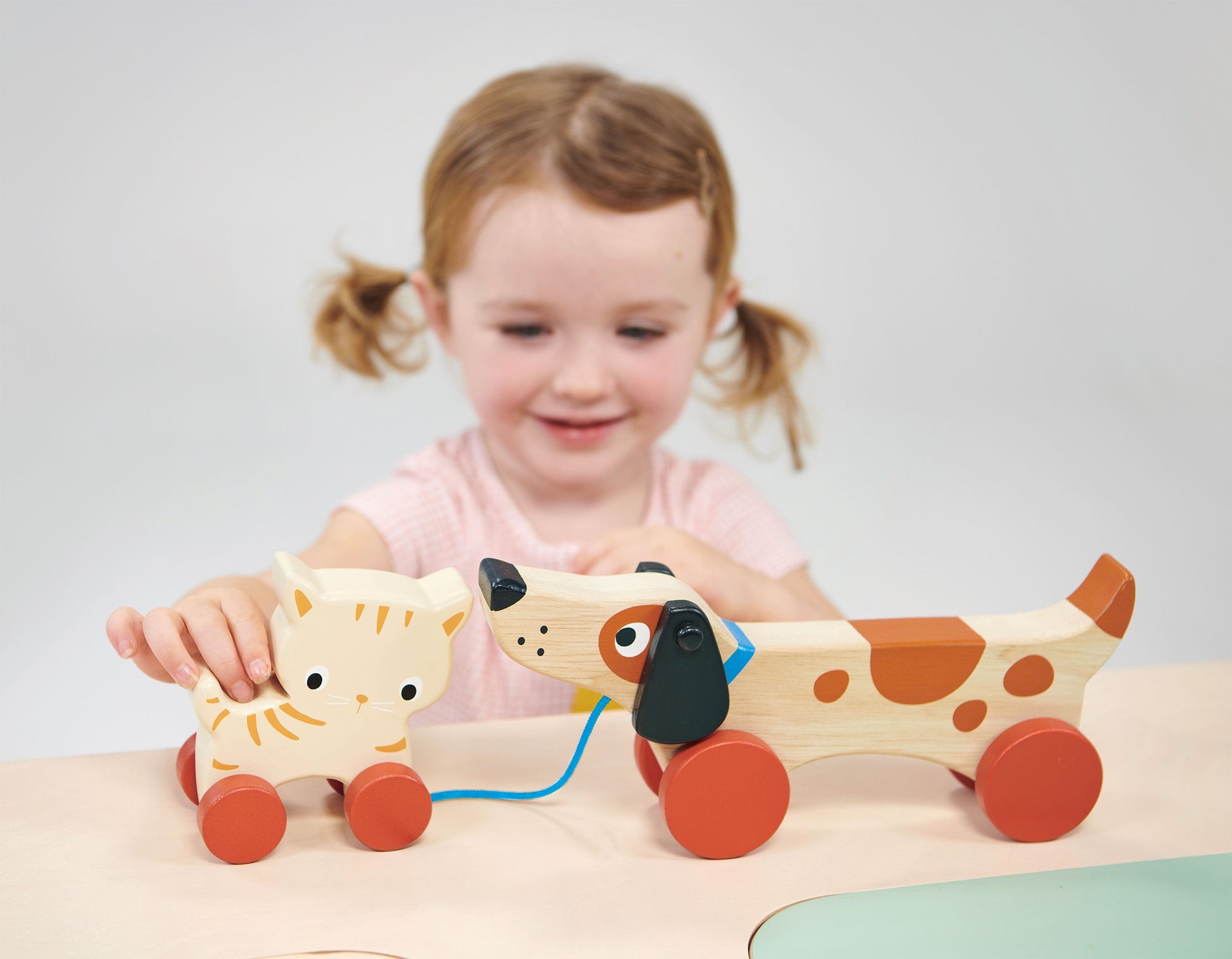 Puppy On Wheels - REGN