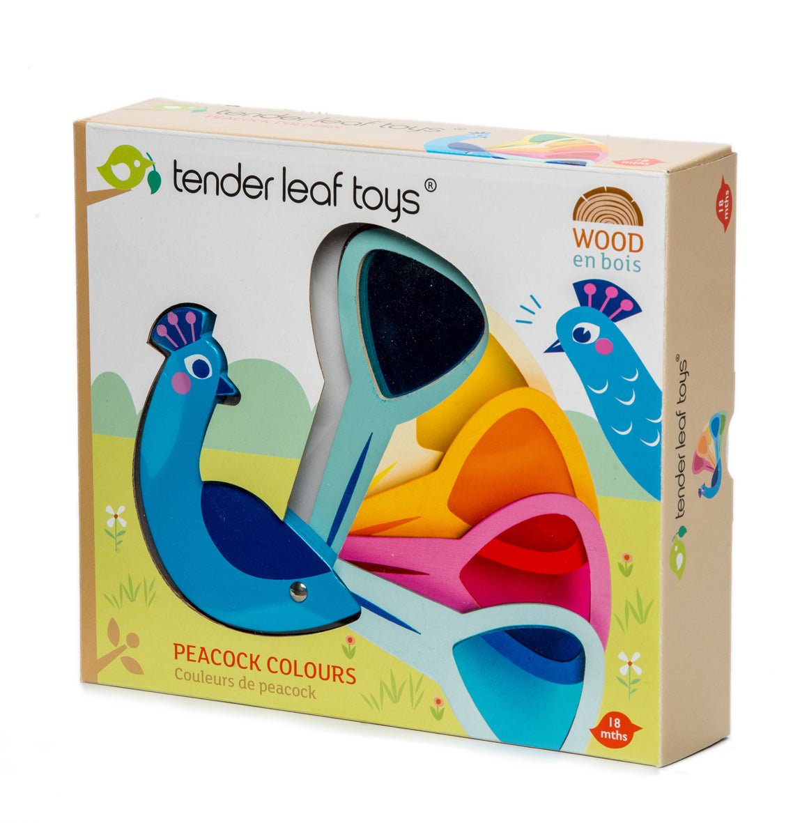 Rainbow Peacock Colours - REGN