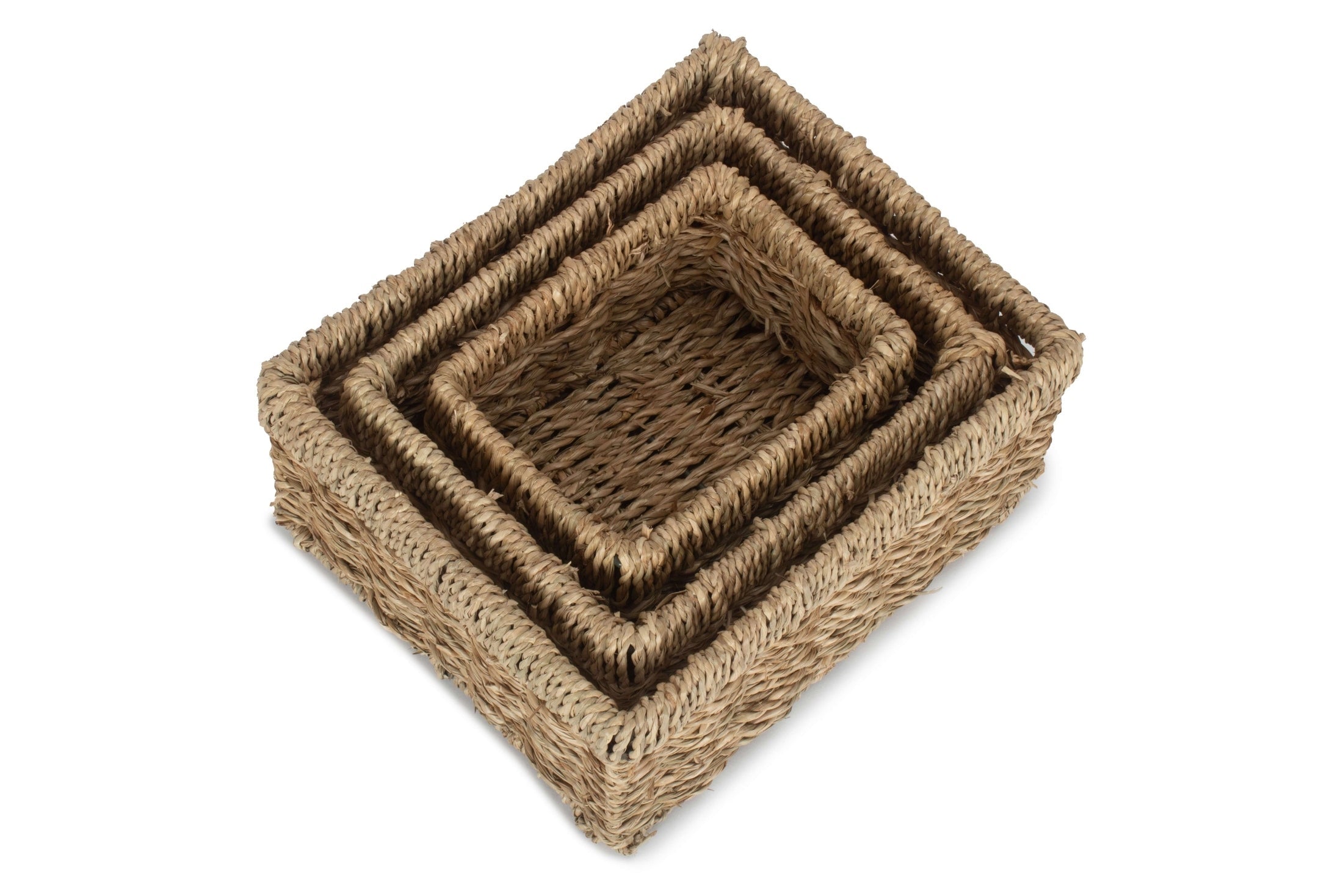 Rectangular Seagrass Small Tray Baskets Set 3 - REGN