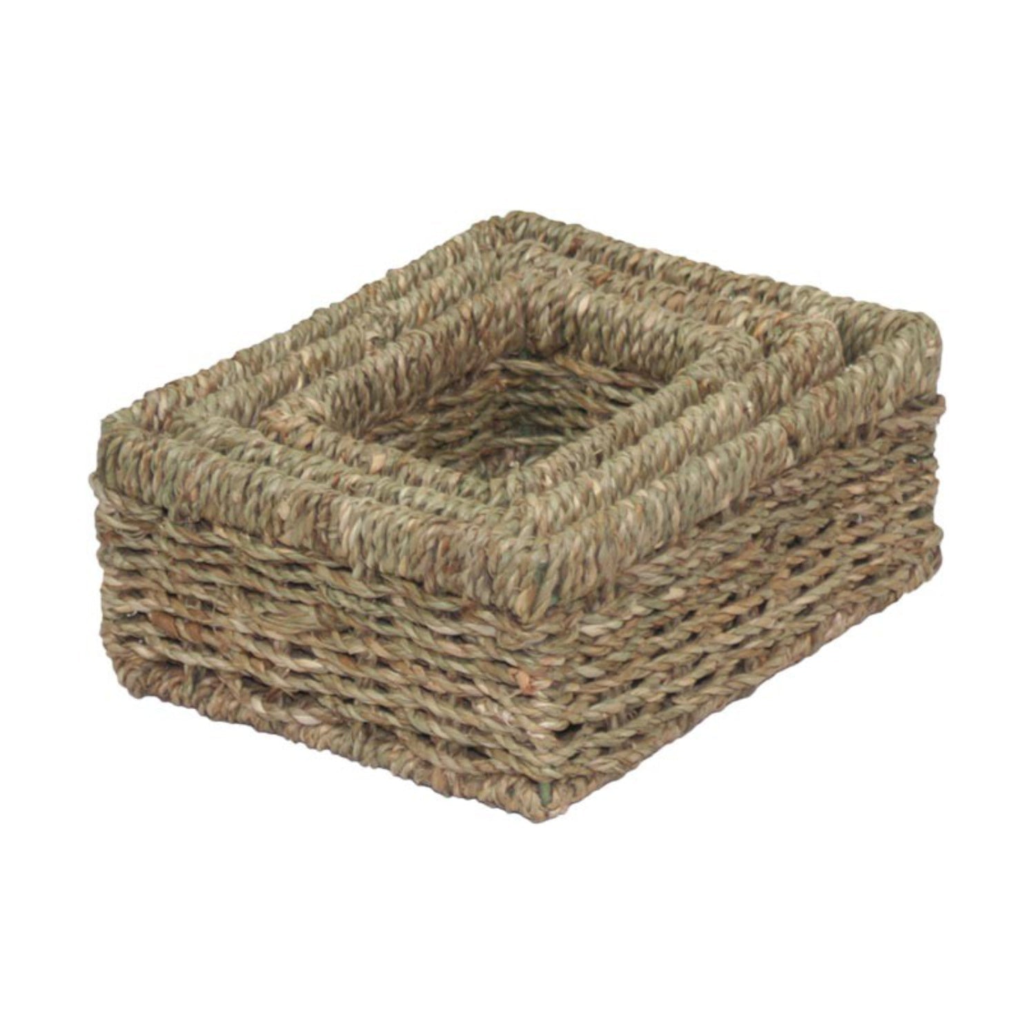 Rectangular Seagrass Small Tray Baskets Set 3 - REGN
