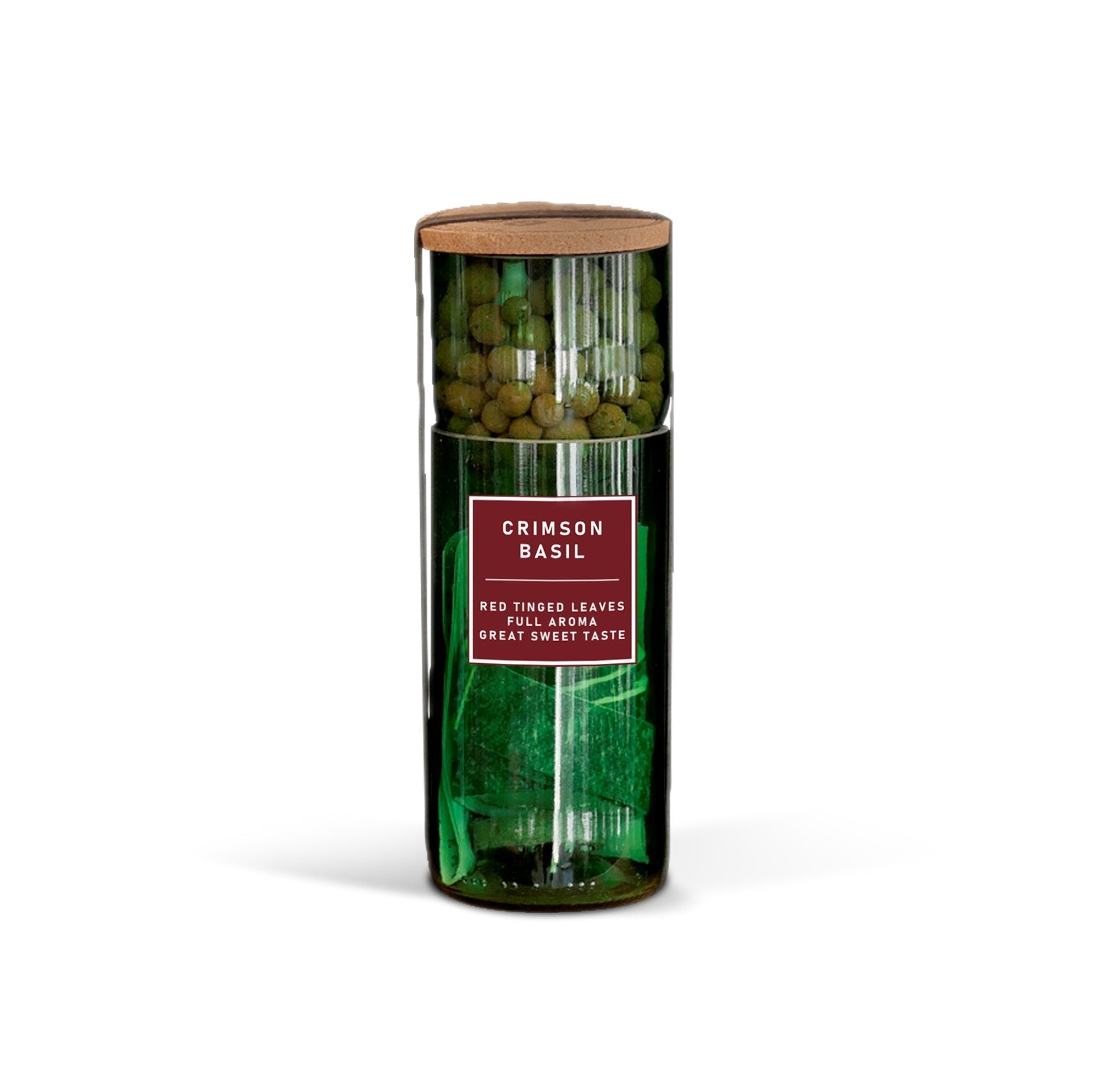 Red Basil (Crimson) - REGN