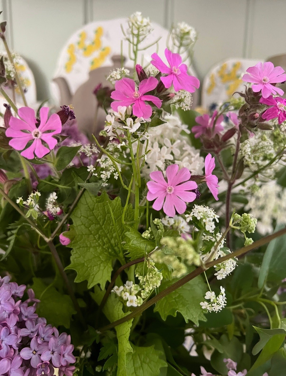 Red Campion - REGN