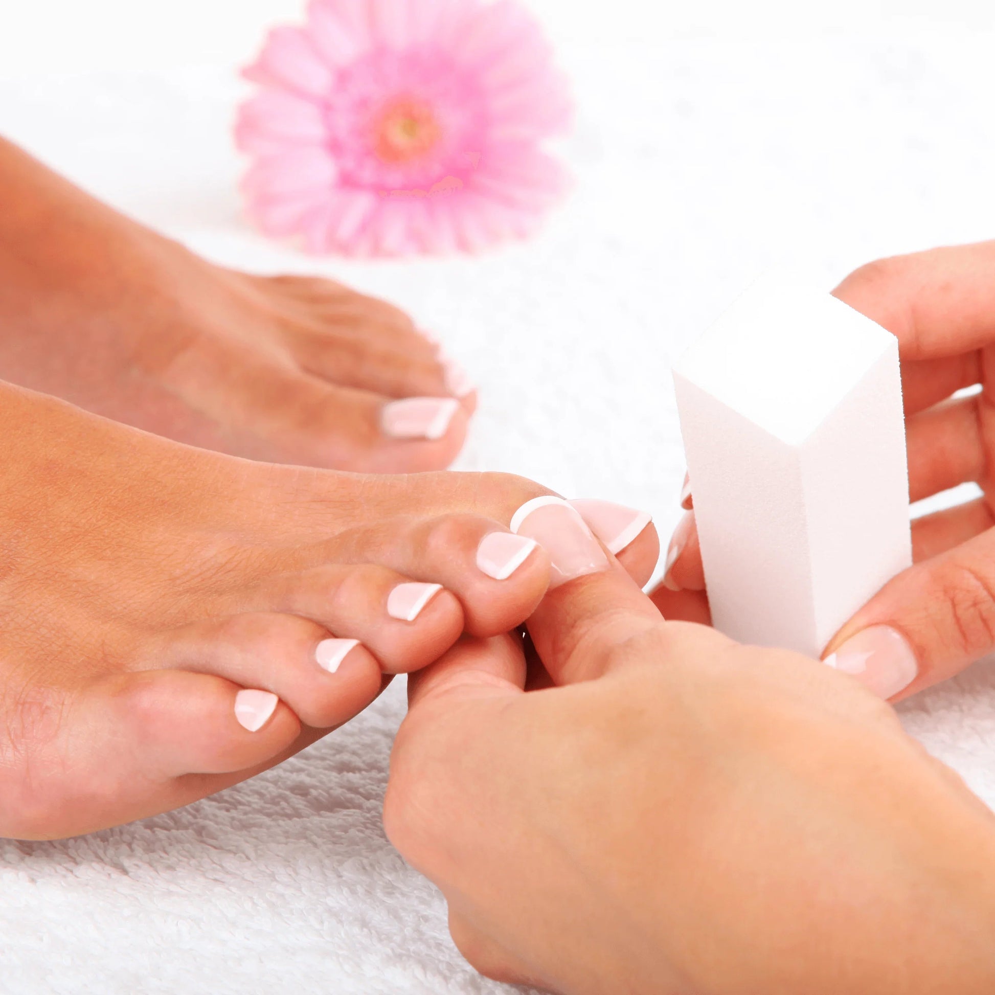 Refresher Nail Technician Course Editable Training Manual - REGN