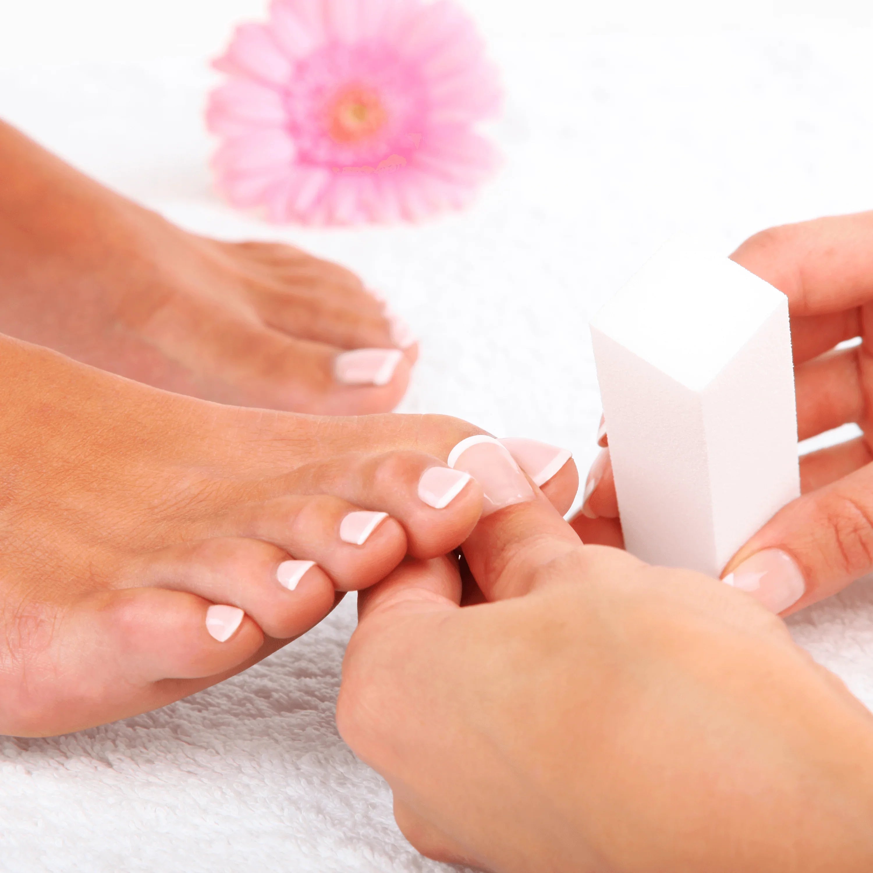 Refresher Nail Technician Course Editable Training Manual - REGN