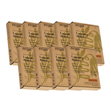 Re:gn Laundry Detergent Sheets – 1 - Year Supply (576 Sheets) | Plastic - Free & Eco - Friendly - REGN