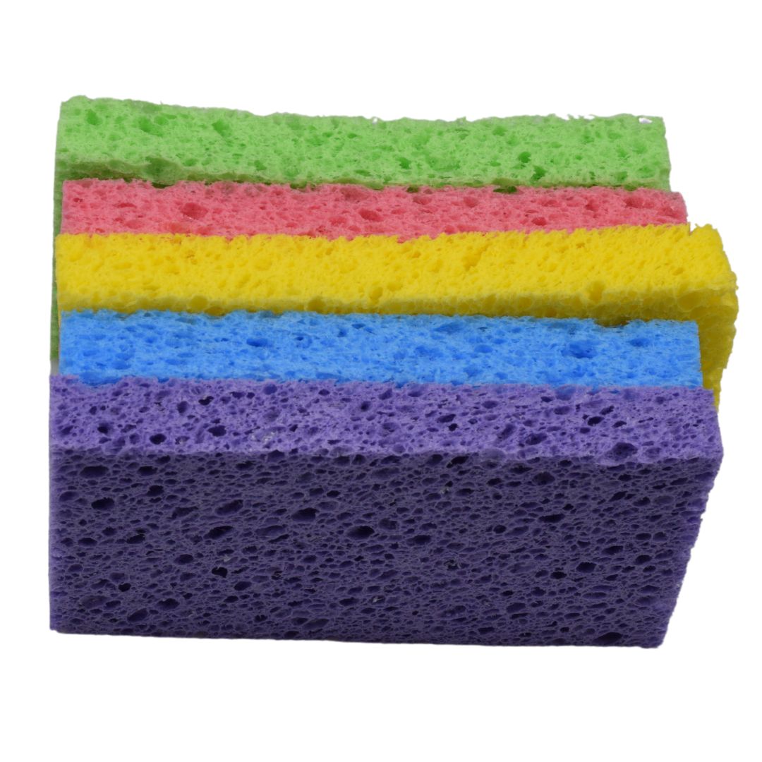 Re:gn Magic Compressed Plant - Based Sponges (5 - Pack) - Buy One Get One Half Price! - REGN
