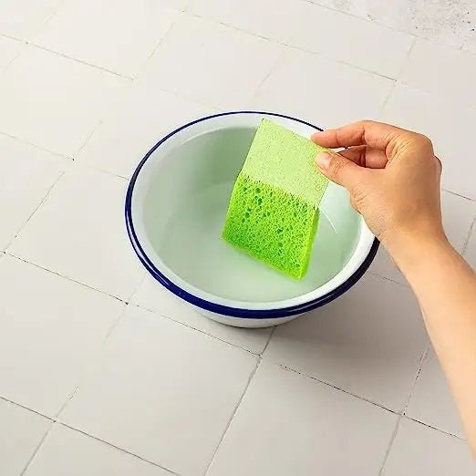 Re:gn Magic Compressed Plant - Based Sponges (5 - Pack) - Buy One Get One Half Price! - REGN