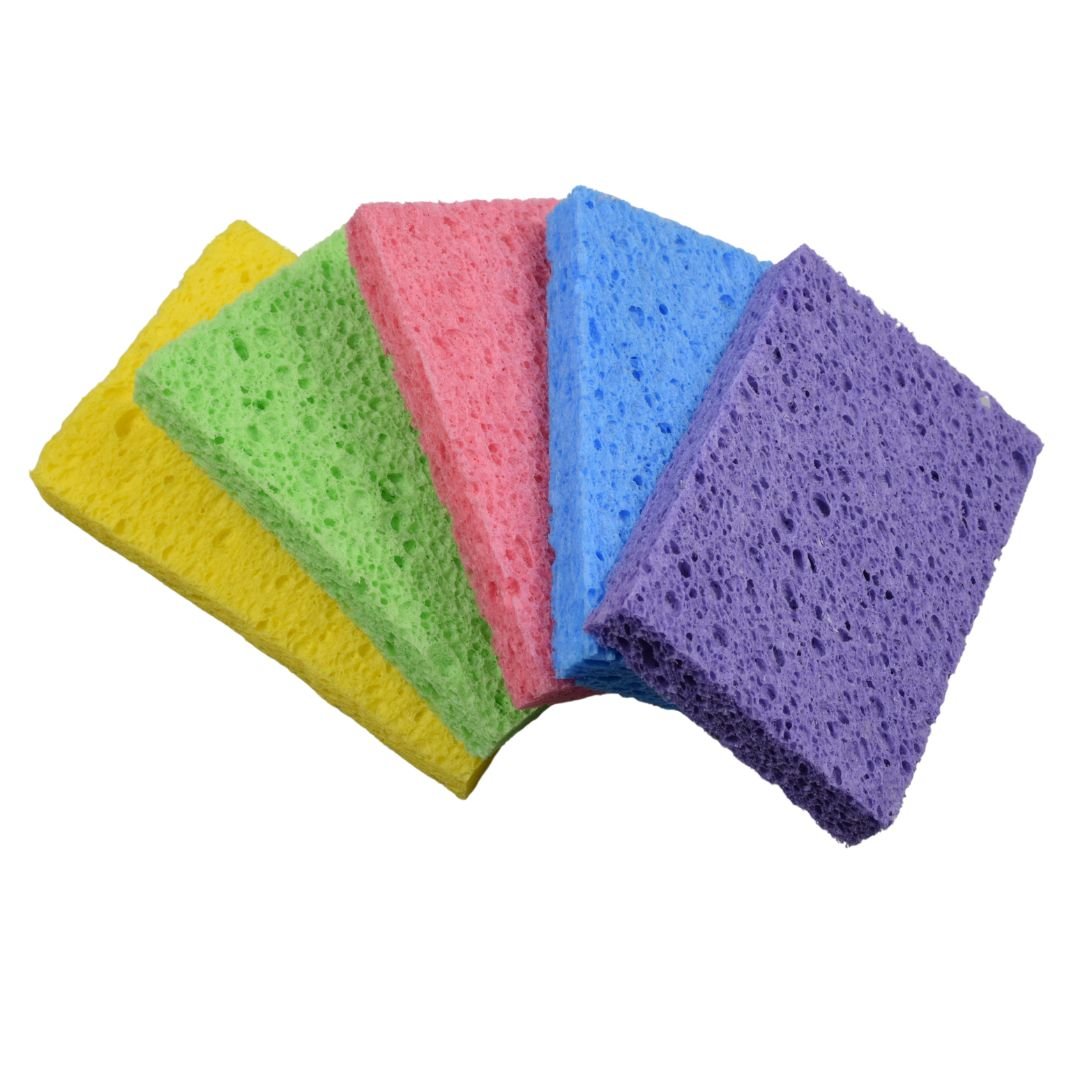 Re:gn Magic Compressed Plant - Based Sponges (5 - Pack) - Buy One Get One Half Price! - REGN