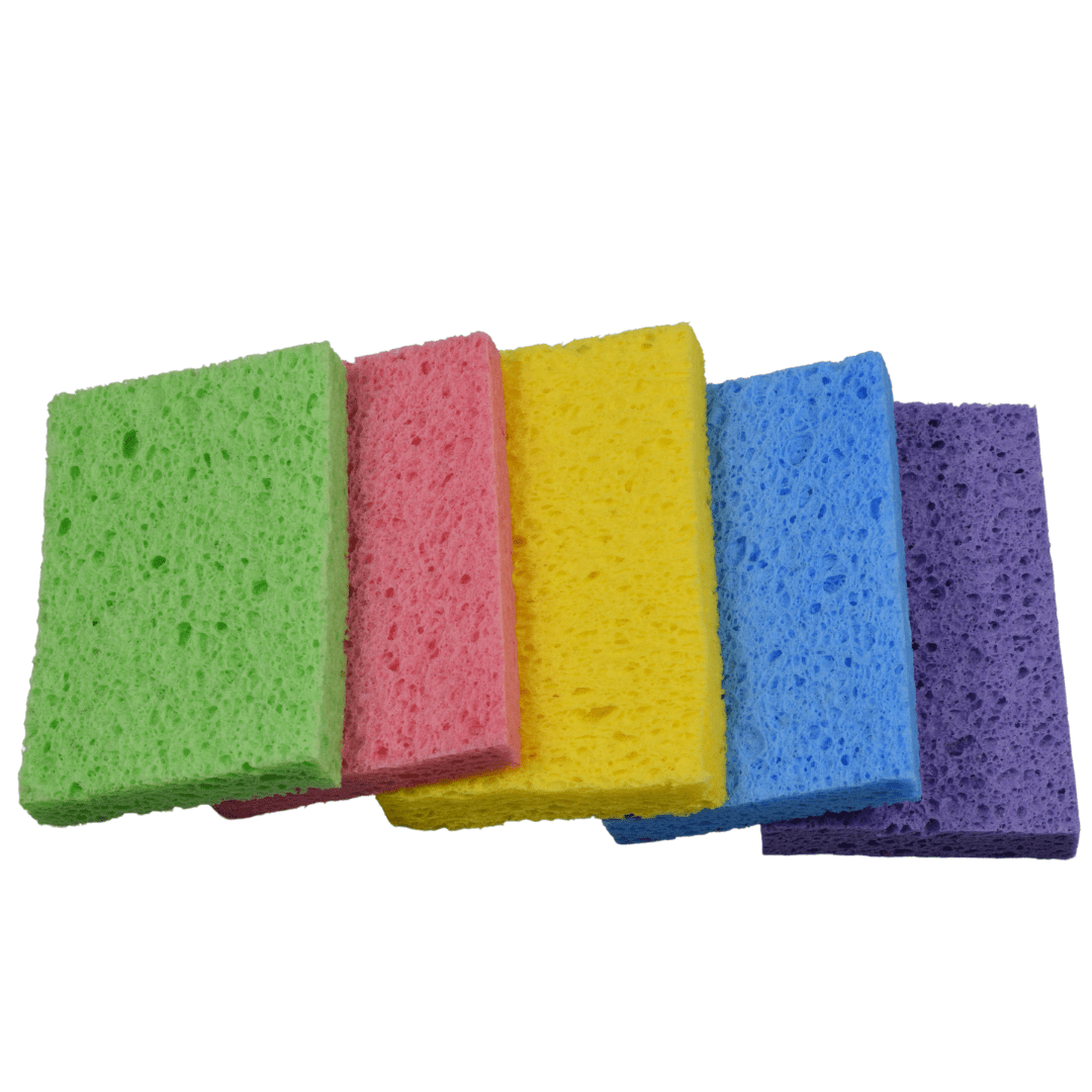 Re:gn Magic Compressed Plant - Based Sponges (5 - Pack) - Buy One Get One Half Price! - REGN