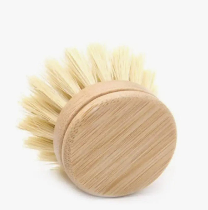 Re:gn Plastic Free Dish Brush Replacement Head - REGN