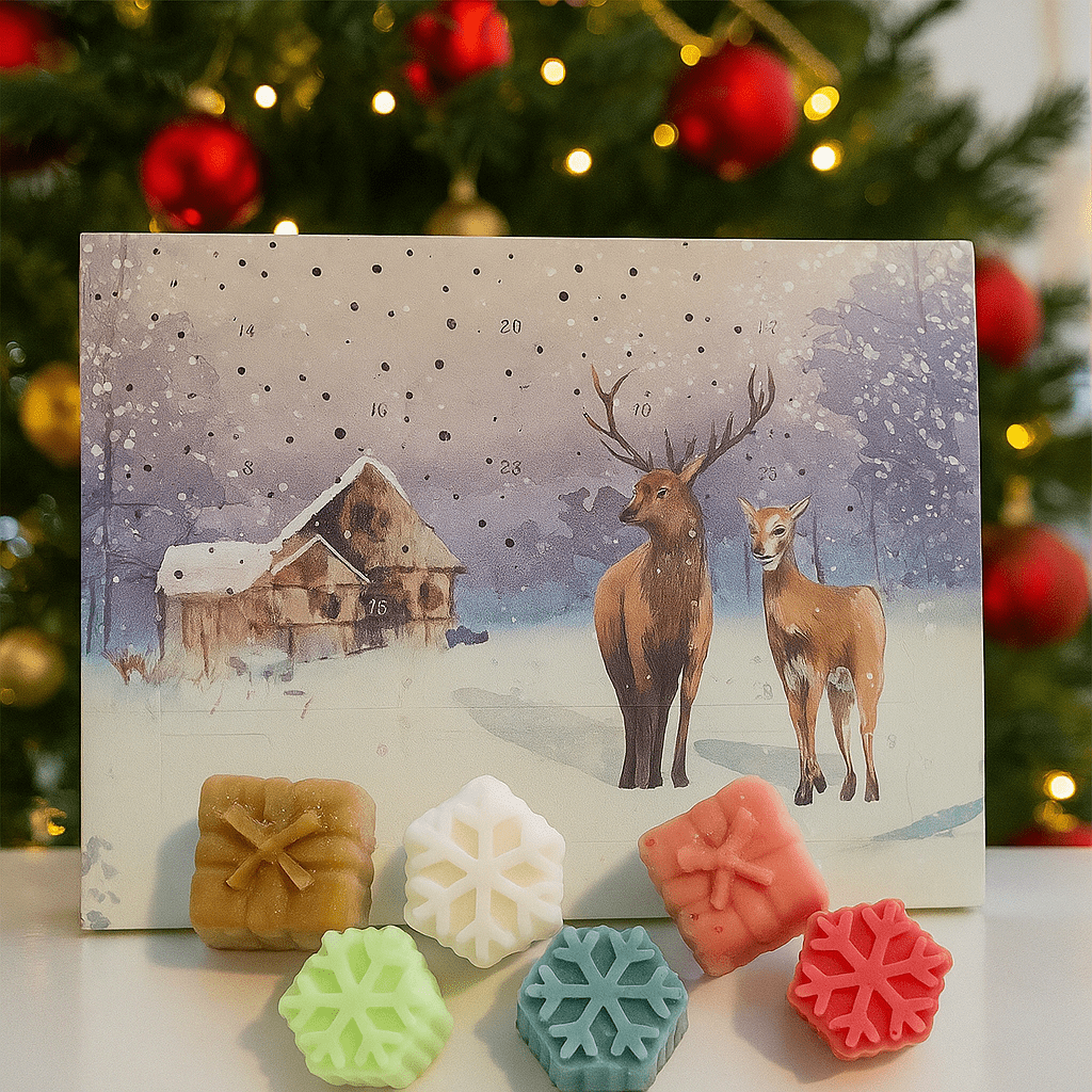 Re:gn Soy Wax Melt Advent Calendar – 24 Handmade Vegan Wax Melts in Festive Scents - REGN