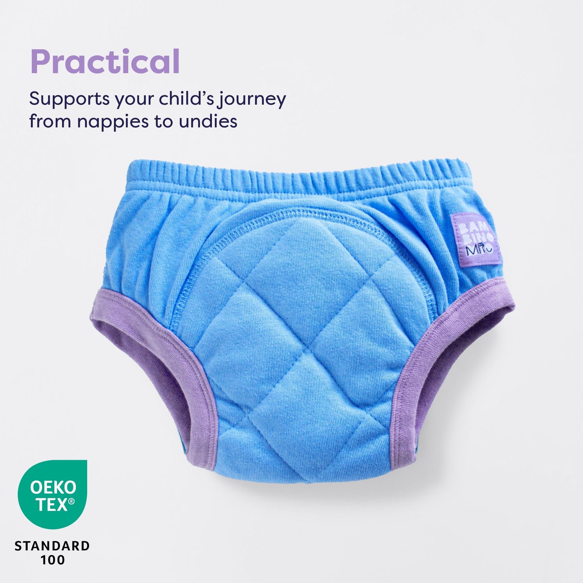 Reusable Potty Training Pants Enhanced Design in Sky - REGN