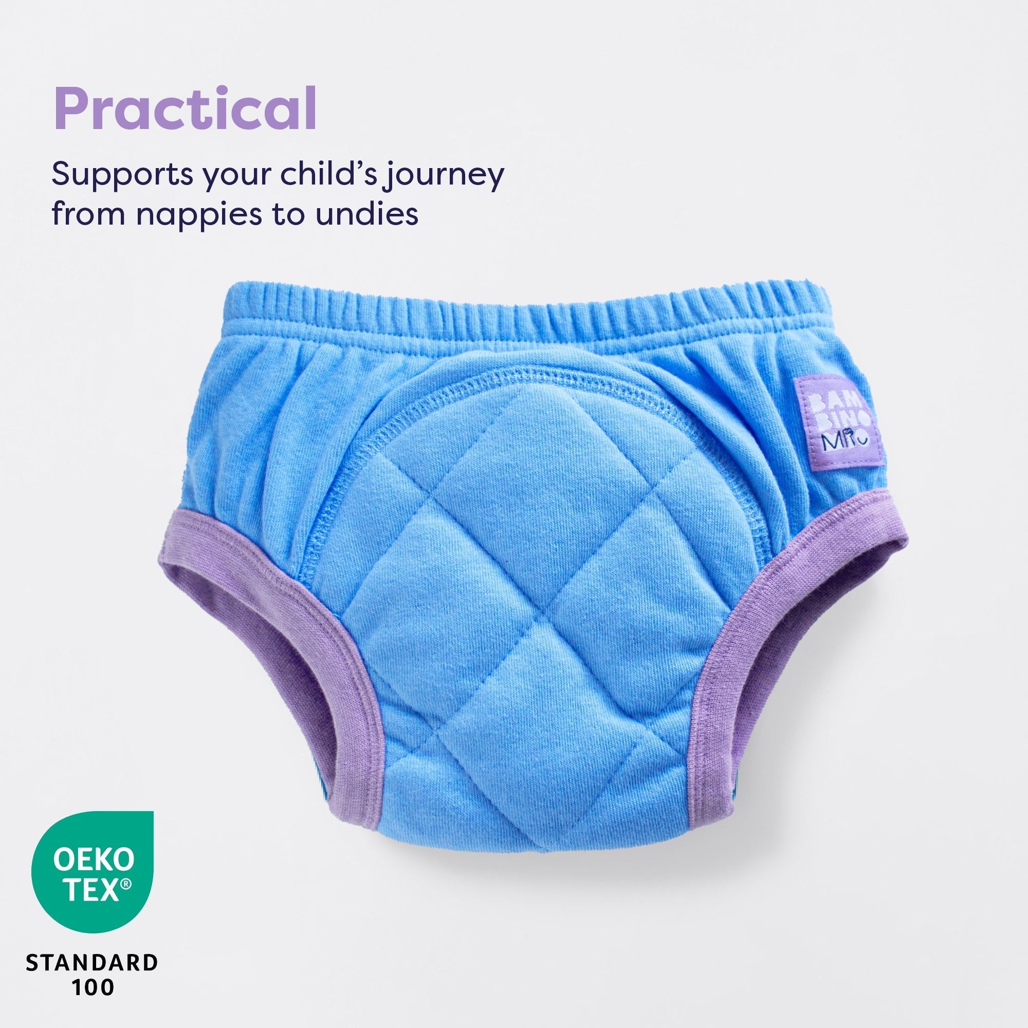 Reusable Potty Training Pants Enhanced Design in Sky - REGN