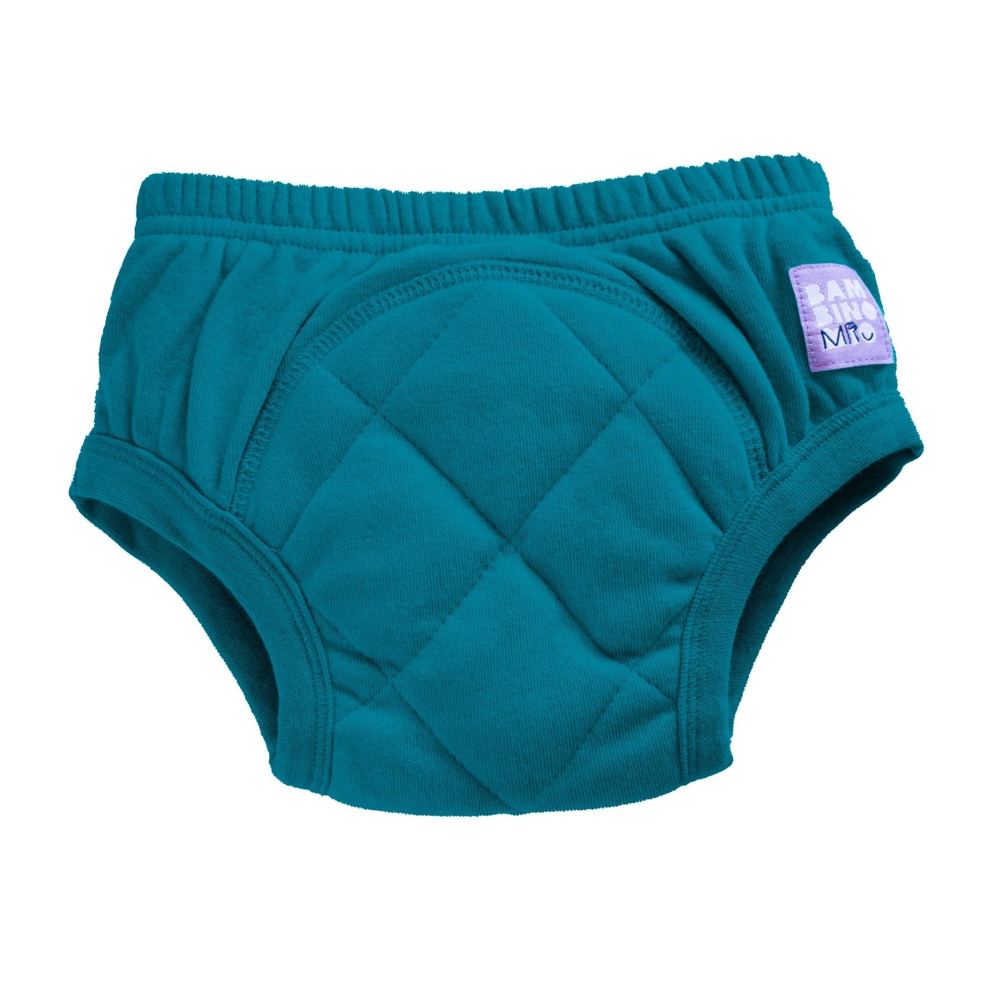 Reusable Potty Training Pants Enhanced Design in Teal - REGN