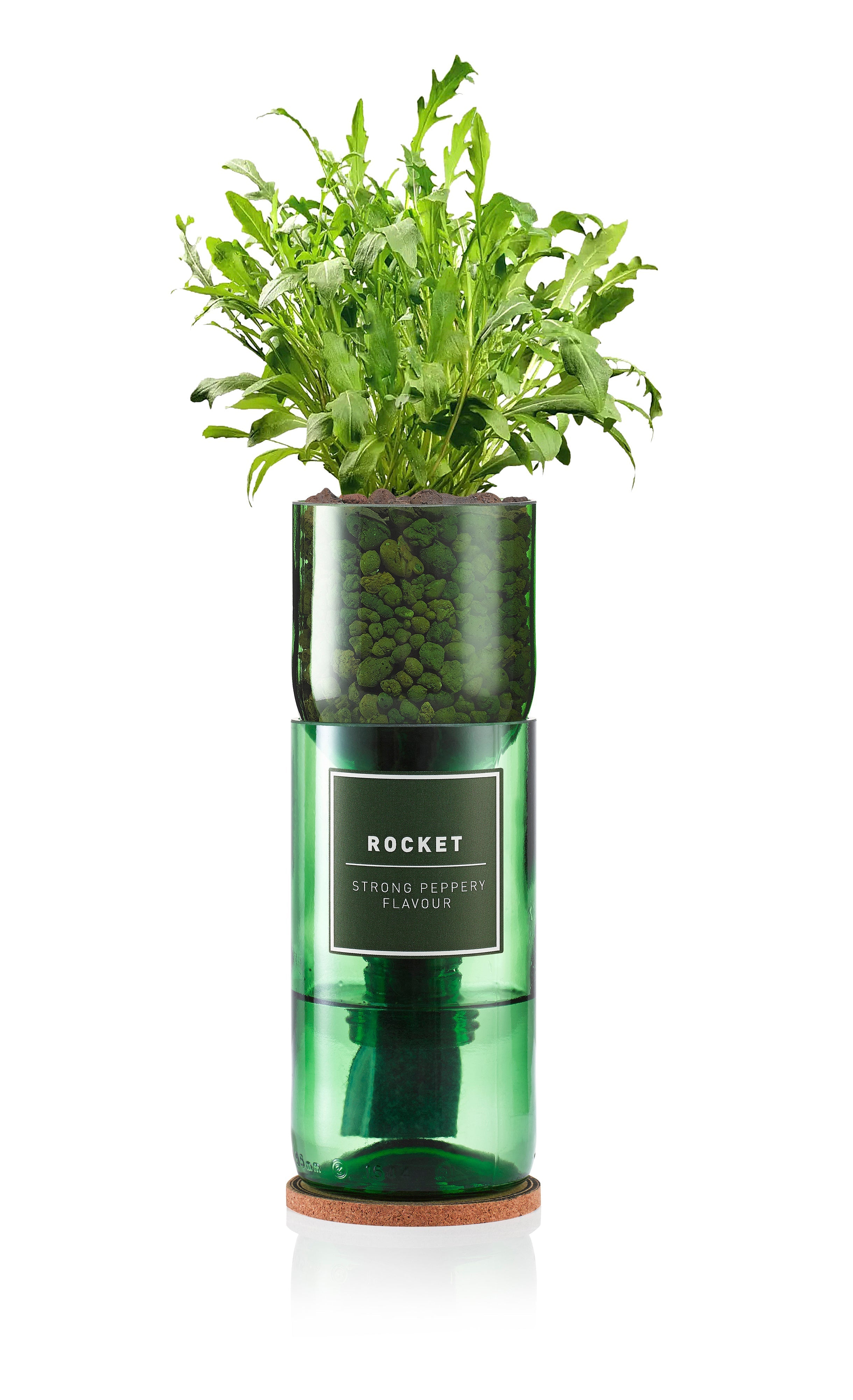Rocket - REGN
