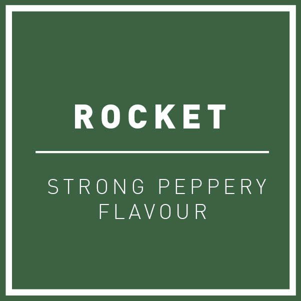 Rocket - REGN