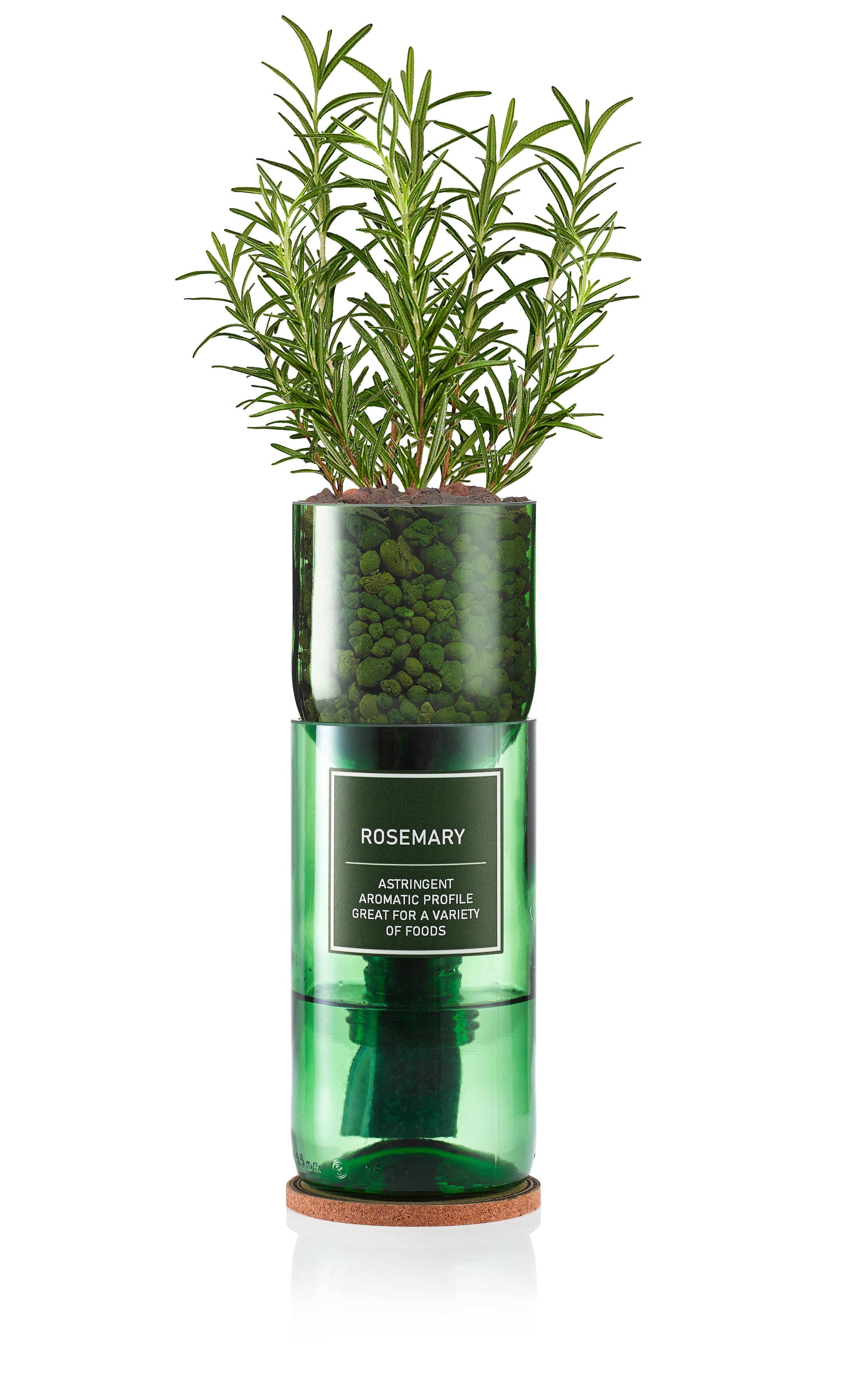 Rosemary - REGN