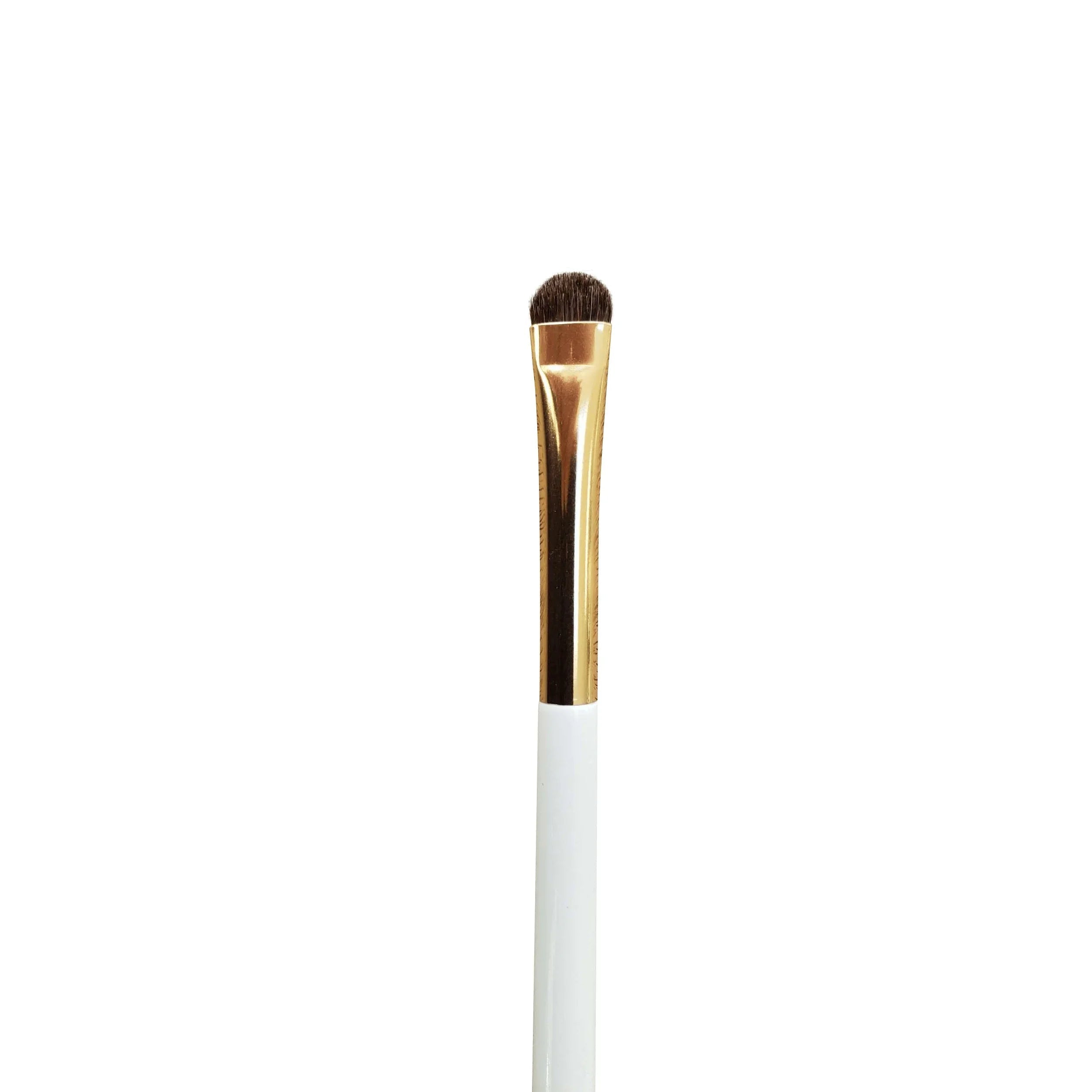 Rounded Brow Blending Brush 3 - REGN