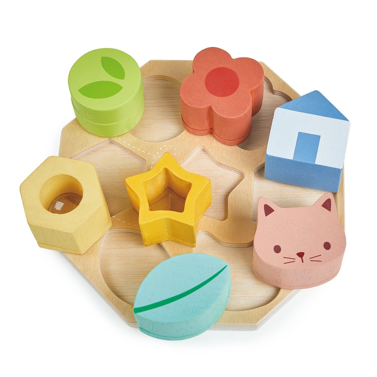 Sensory Activity Tray - REGN