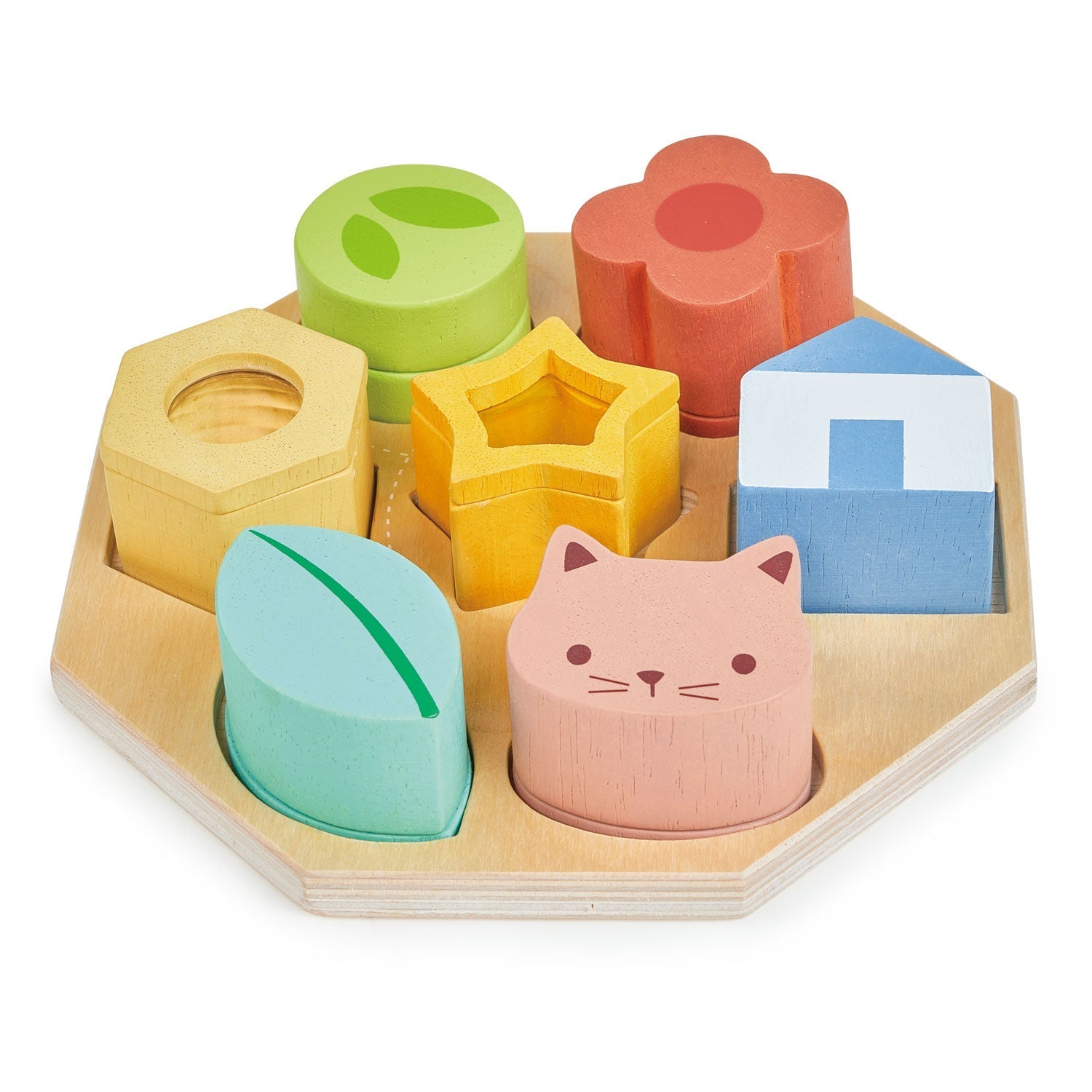 Sensory Activity Tray - REGN