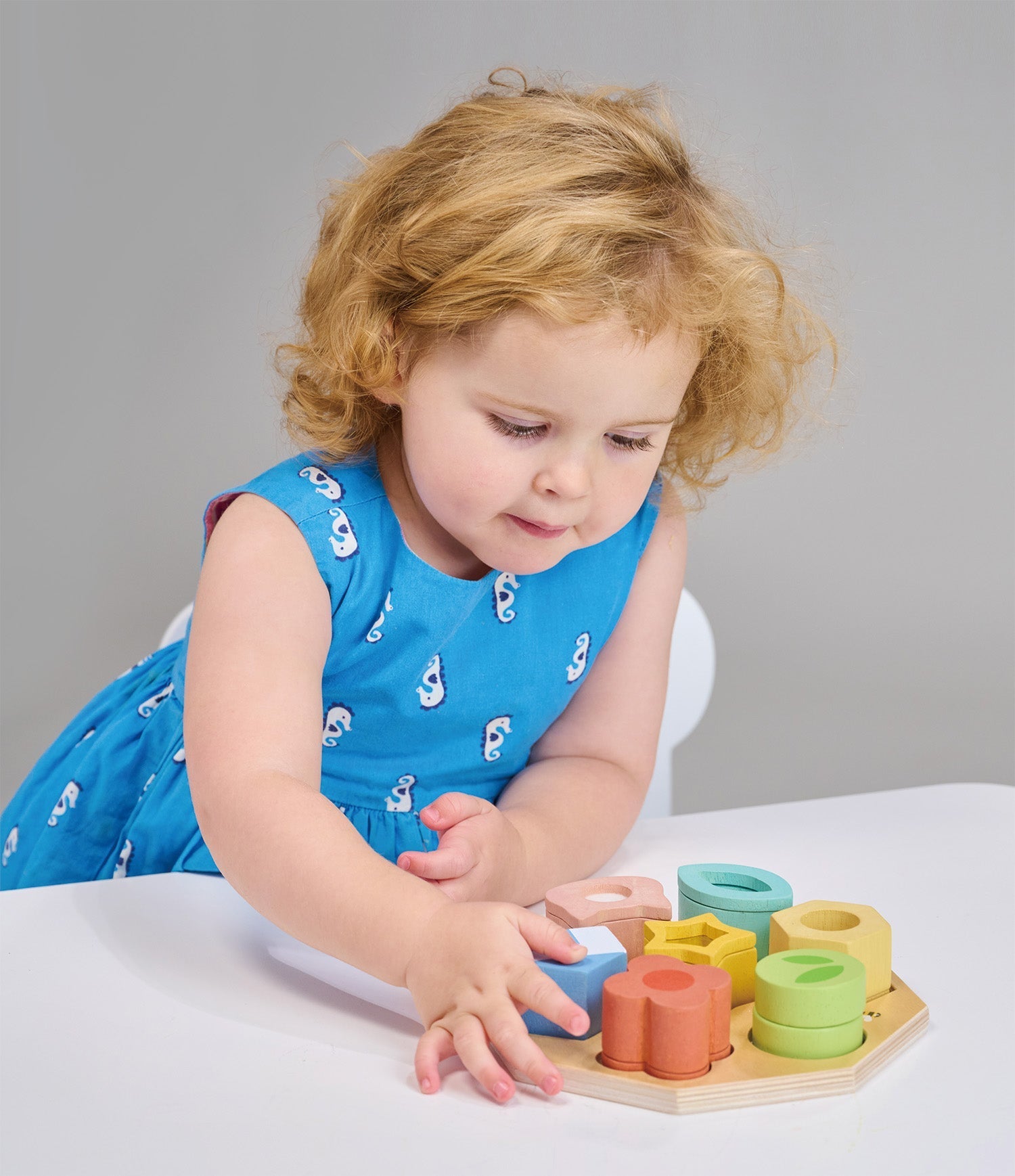 Sensory Activity Tray - REGN