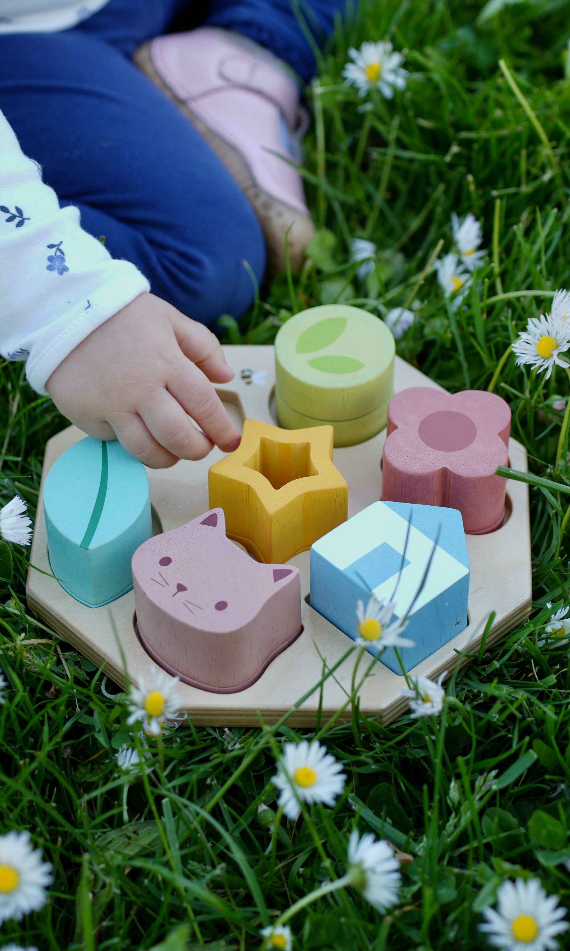 Sensory Activity Tray - REGN