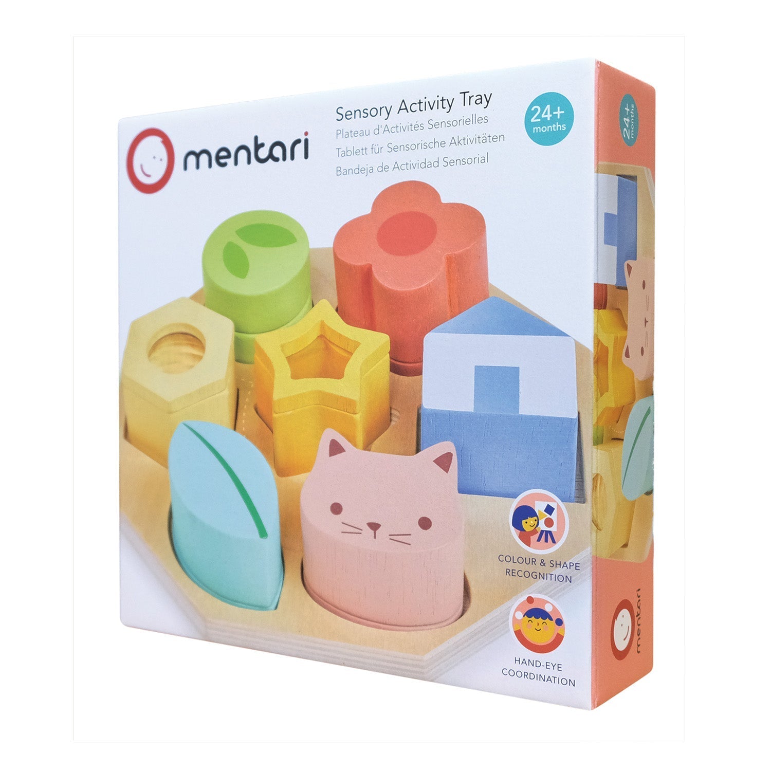 Sensory Activity Tray - REGN