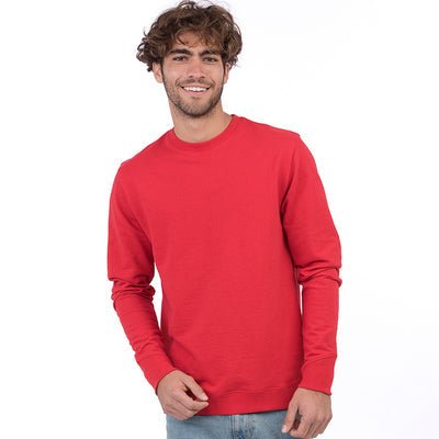 Set-in Recycled Sweatshirt - REGN