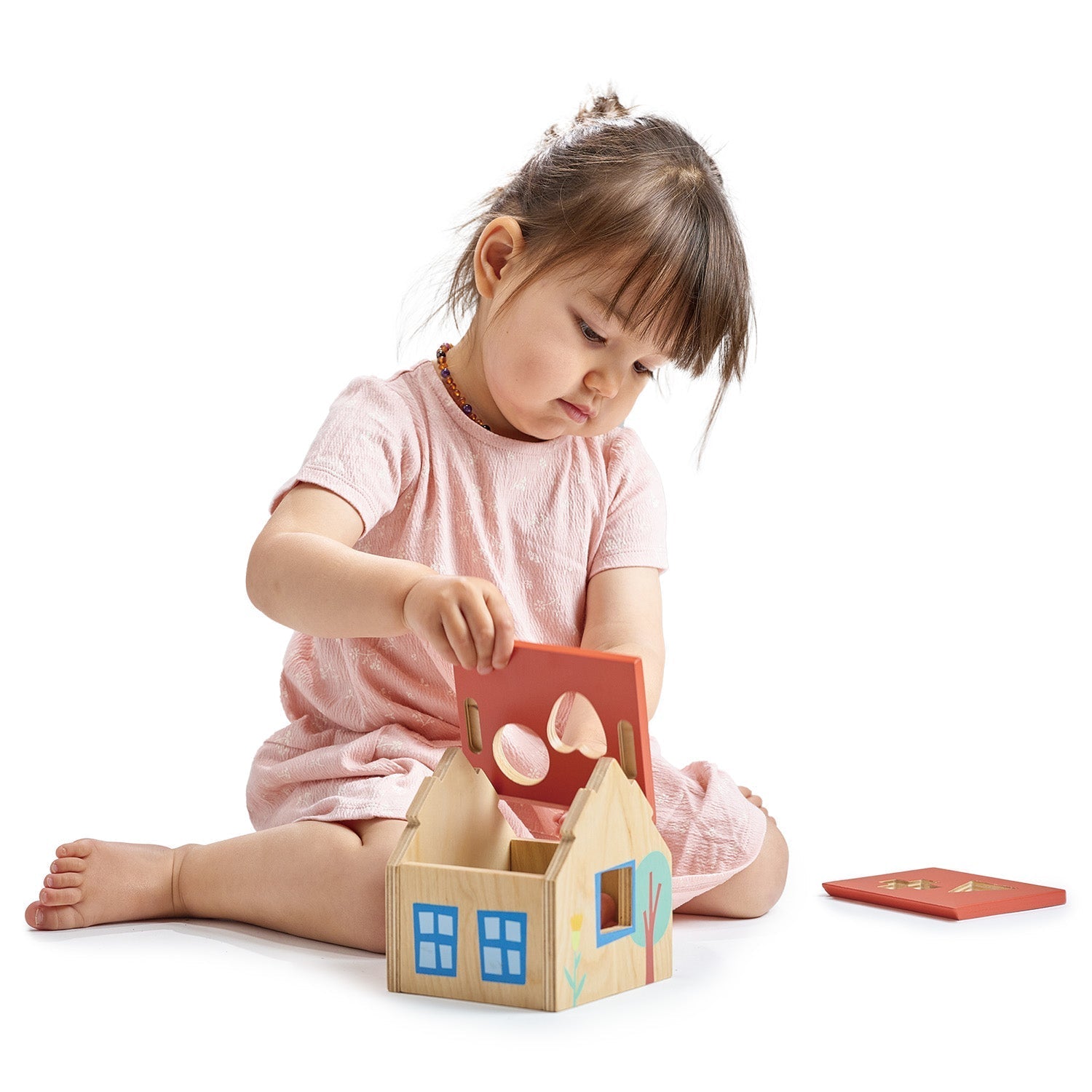 Shape Sorter House - REGN