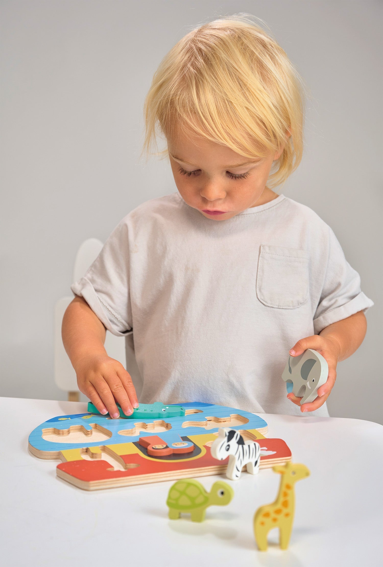 Shape Sorting Ark Tray - REGN